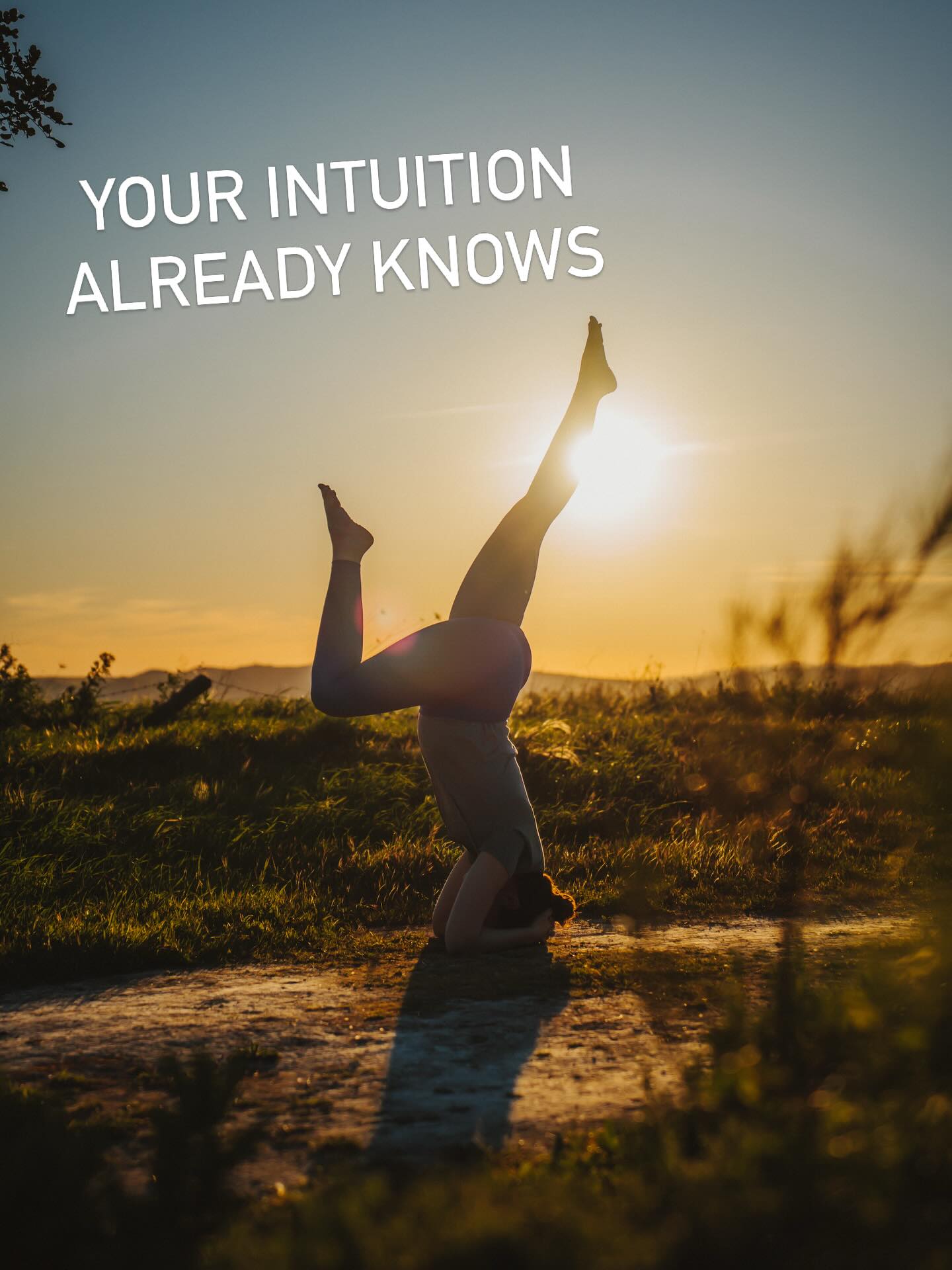 Strategic decision-making course in 3 seconds 🧘♀️📊 you’re welcome!
Follow me & join my yoga classes for more life strategic decision making😉
There are a lot of coaches out there who really want to “help” you.
Some of them mostly want to help… themselves and I’ve met so many who are pretty lost too 🤪
Before you delegate your life decisions, try this radical move:
Go back to yourself.
Get on the mat.
Go upside down.
Take a walk in nature.
Breathe. Meditate. Pause.
Not to numb out.
But to clear the noise, connect to your body, and let your intuition speak — without external opinions influencing you.
Because here’s the real energy leak:
✨ Being stuck in between for too long. ✨
Say yes to the yes.
Say no to the no.
Anything in between? It’s a no.
If it were a yes, you’d know.
If you haven’t said yes yet… that’s your answer.
Yoga is wildly underrated. Practice regularly.
The more connected you are to yourself,
the less you need someone else to tell you what you already know.
The strategy session is within. It has always been and you know it! This piece of advice can save you a lot of time, energy and money 😉🧘♂️
📸 Pics by @jeannette.n.photography
