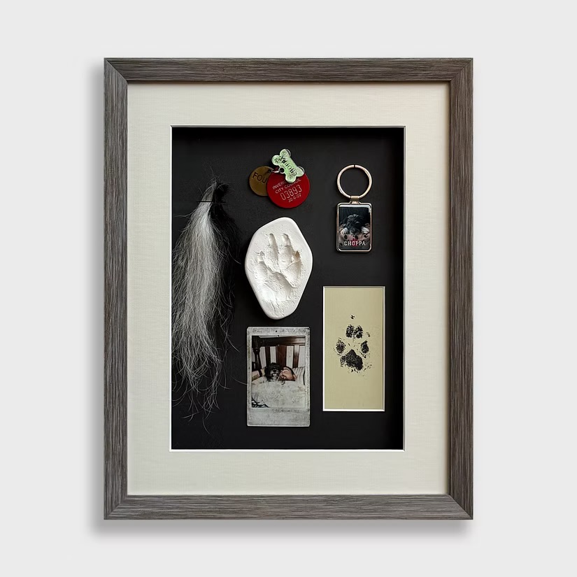 For Choppa. 🐾
This is one of the jobs we’ll always remember doing. A shadow-box tribute frame holding every little piece of a life — the collar tags, the photo keyring, a real paw print in ink, a clay impression, and a polaroid that tells its own story. We used a deep cream double mount and a grey-washed wood frame to let everything sit with the weight it deserves.
Pets aren’t just pets. If you’ve got bits and pieces saved from one you’ve loved, bring them in. We’ll build something proper.
📍 Norwich | Free parking | Open 7 days
☎️ 01603 622282
#norwichframingcentre #bespokeframing #petmemorial #shadowbox #customframing
