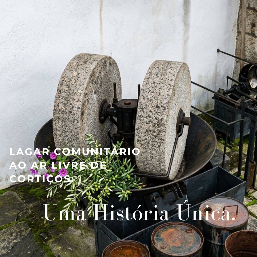 Há lugares que guardam segredos nas suas pedras. Cortiços, no coração de Trás-os-Montes, tem um desses lugares — um lagar comunitário ao ar livre, onde durante séculos famílias inteiras partilharam a colheita, a mó e o azeite. 🫒
Porque o melhor azeite é aquele que se faz com toda a aldeia.
—
There are places that keep secrets in their stones. Cortiços, in the heart of Trás-os-Montes, has one of those places — an open-air communal olive press, where for centuries entire families shared the harvest, the millstone and the olive oil. 🫒
Because the best olive oil is the one made with the whole village.
📖 Link no bio | Link in bio
#AzeiteaNorte #Olivoturismo #TrásosMontes #Cortiços #LagarComunitário #MacedodeCavaleiros #AzeitePortuguês #PatrimónioCultural #GeoparkTerrasdeCavaleiros #OliveOilTourism #OliveHeritage #Portugal #VisitPortugal #TurismoRural #TraditionLocal #OliveOil #CommunalHeritage