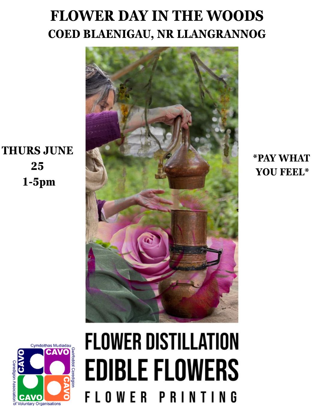 Join us for this special day to celebrate midsummer.
We will gather at Coed Blaenigau, close to Llangrannog, for a creative day. Together we will make a rose and lemon balm hydrosol, using a traditional copper still, the technique used to make essential oils. Once the still is fired up and slowly drips it's precious liquid, we will make eco flower prints onto fabric, and enjoy floral snacks and refreshments.
Prints and hydrosol to take home. Basic materials are included in the day, other, optional, special material will be available at an extra cost
This is funded by Cavo Healthy Communities grant, and is a pay as you feel offering. To book a place follow the link in bio.
Ymunwch â ni ar y diwrnod arbennig hwn i ddathlu canol haf. Byddwn yn ymgynnull yng Nghoed Blaenigau, ger Llangrannog, am ddiwrnod creadigol. Gyda'n gilydd byddwn yn gwneud hydrosol rhosyn a geraniwm, gan ddefnyddio distyll copr traddodiadol. Tra bod hwn yn diferu ei hylif gwerthfawr yn araf, byddwn yn gwneud printiau blodau eco ar ffabrig, ac yn mwynhau byrbrydau a lluniaeth blodau. Mae hyn wedi'i ariannu gan grant Cymunedau Iach Cavo, ac mae'n gynnig talu wrth i chi deimlo.