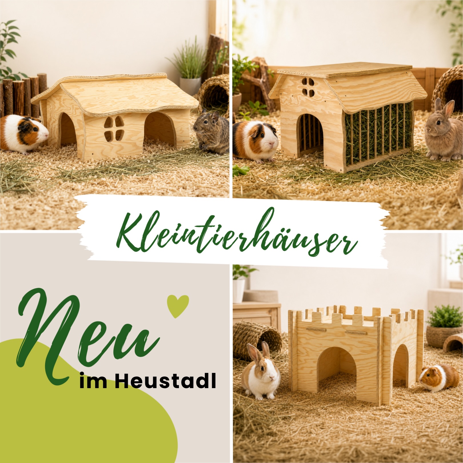 Rückzugsort, Spielplatz und Wohlfühlzone in einem. 🏡✨
Unsere neuen Kleintierhäuser vereinen genau das. 🤩 Ob gemütliches Almstüberl ⛰️, praktischer Heustadl mit integrierter Heuraufe 🌱 oder die großzügige Fellnasenfestung 🏰 – hier findet jede Fellnase ihr Lieblingsplatzerl. 🥰
Gefertigt aus stabilem Holz, mit mehreren Ein- und Ausgängen sowie durchdachten Details für Kaninchen, Meerschweinchen & Co.
Für mehr Abwechslung im Gehege, eine sichere Rückzugsmöglichkeit und ganz viel Wohlfühlatmosphäre. 💚
Welches Häuschen würde euren Fellnasen besonders gut gefallen? 👇