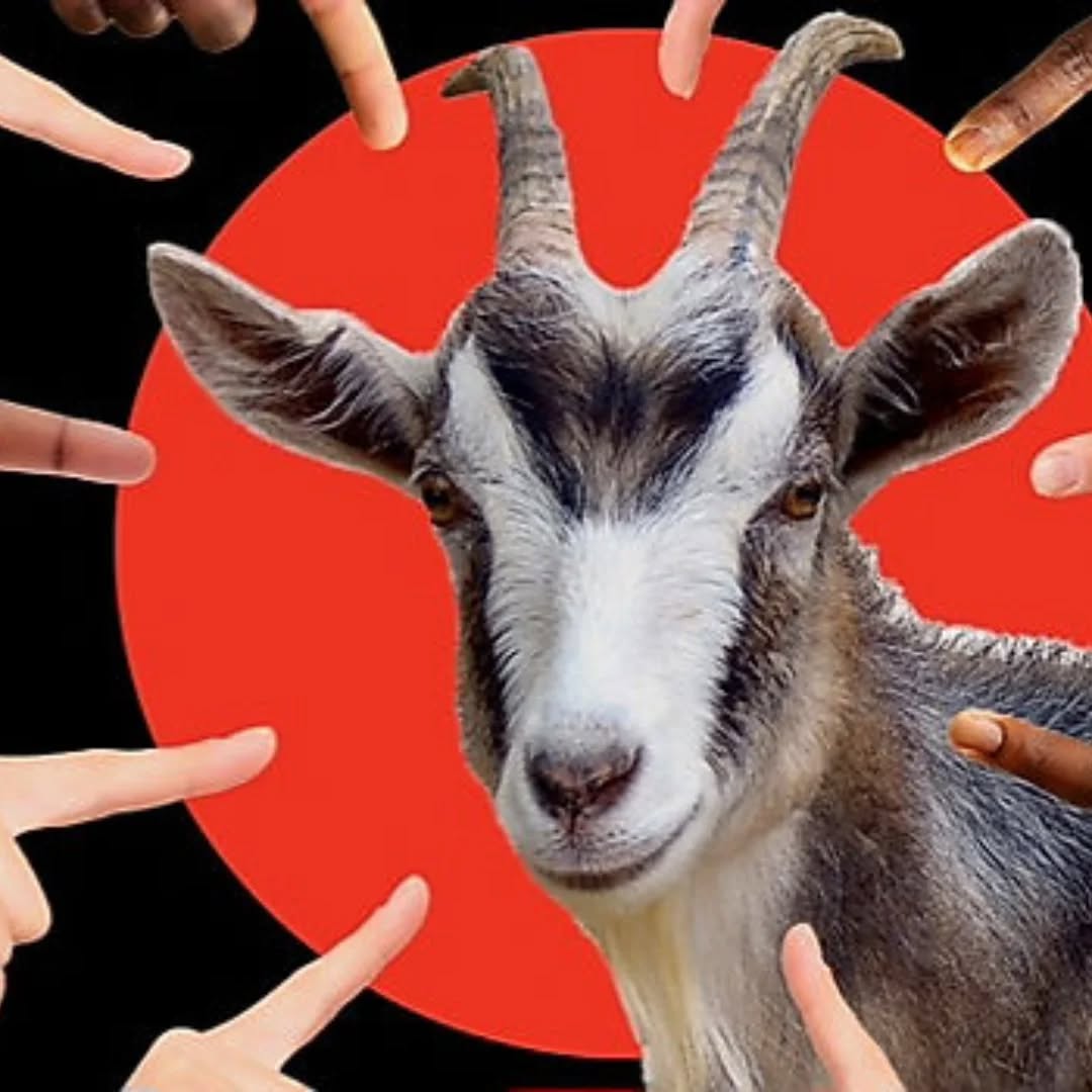 Eddie Ramírez esta semana:
https://www.ojoconeso.com/post/la-culpa-es-de-los-otros