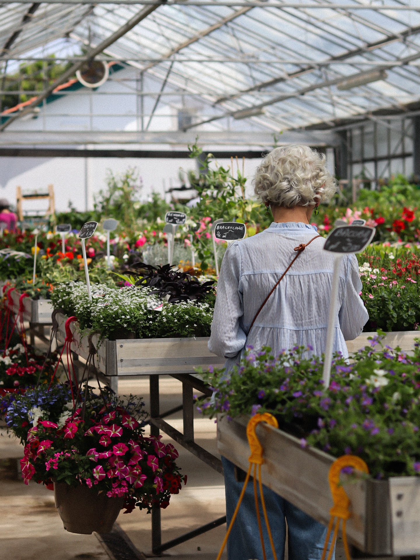 Mendi et ses plantes fleuries đ
đȘŽ Le jardin de tous
âïž 05 59 03 73 52
đ15 rue de Louillot, Anglet