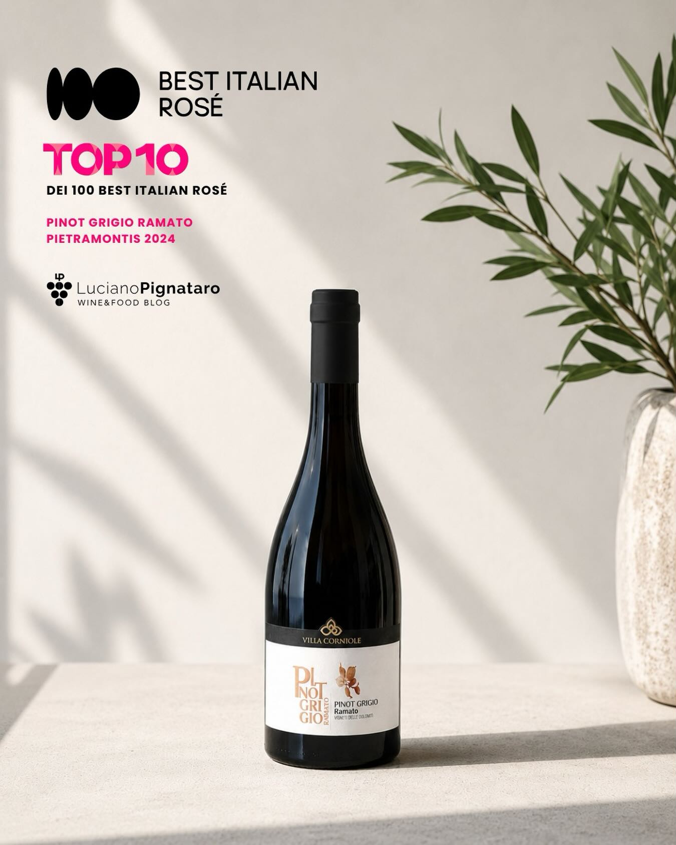 Siamo orgogliosi di condividere un importante riconoscimento per il nostro Pietramontis Pinot Grigio Ramato 2024.
Il nostro vino è stato selezionato nella TOP10 dei migliori rosati italiani dalla guida 100 Best Italian Rosé @100bestitalianrose, la guida dedicata ai migliori rosati d’Italia e dei territori di confine, edita da Luciano Pignataro Wine Blog @lucianopignatarowineblog che è da oltre vent’anni impegnato nella promozione del vino italiano.
Un sentito grazie ad Antonella Amodio, Chiara Giorleo e Adele Granieri, che curano la guida con grande professionalità, sensibilità e attenzione verso le eccellenze del panorama vitivinicolo italiano. @antonella.amodio @chiaragiorleo_wineguide @adelegranieri
Questo riconoscimento valorizza il nostro lavoro quotidiano, la passione per il territorio trentino e l’identità autentica del nostro Pinot Grigio Ramato.
Grazie a chi continua a scegliere Villa Corniole e a brindare con noi!
#VillaCorniole #Pietramontis #PinotGrigioRamato #100BestItalianRosé #Top10