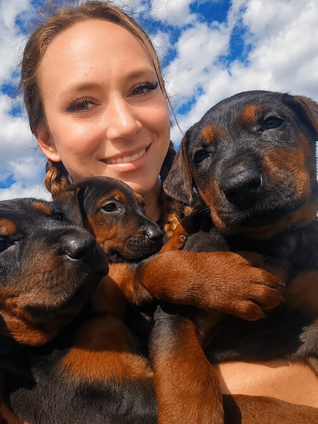 These pups have some of the most unreal colors I’ve seen. Deep reds, rich pigment, and they’re only getting better with age.
No filter. Just naturally stunning Rieka babies.
If you’ve been waiting for a chance to own a gorgeous dog like her, this is it.
💚💜💙
#nofilter
-
Laizhou hong chinese red dog
-
Nothing for sale, DM to inquire about the breed!
-
dutch shepherd sighthound #rarebreed #protectiondog #chinesereddog beauceron schutzhund protection dog psa german shepherd guard dog trainer preservation chinese red dog #dobie
