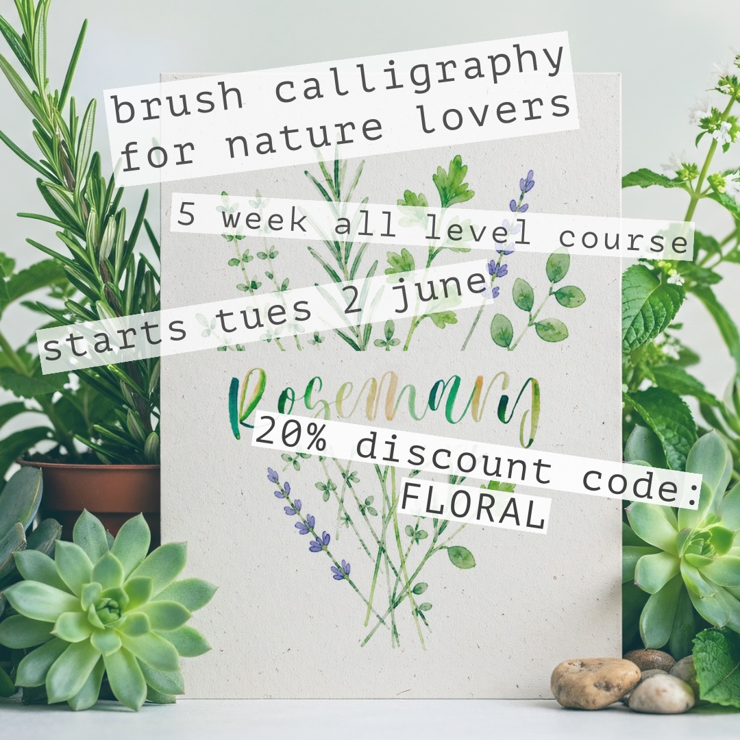 Painted herbs, loose strawberries, leafy borders and expressive brush lettering — this course is all about combining modern calligraphy with simple watercolour techniques inspired by the garden. 🍓🌿
You’ll learn how to use a paintbrush to create flowing calligraphy, paint easy botanical shapes and build decorative borders and compositions that feel relaxed, fresh and full of personality.
Perfect for beginners or anyone wanting a softer, more creative approach to lettering.
Use code FLORAL for 20% off your place. Starts Thursday 2nd June online with worksheets posted or emailed. #watercolourart #watercolourclass #watercolourcalligraphy