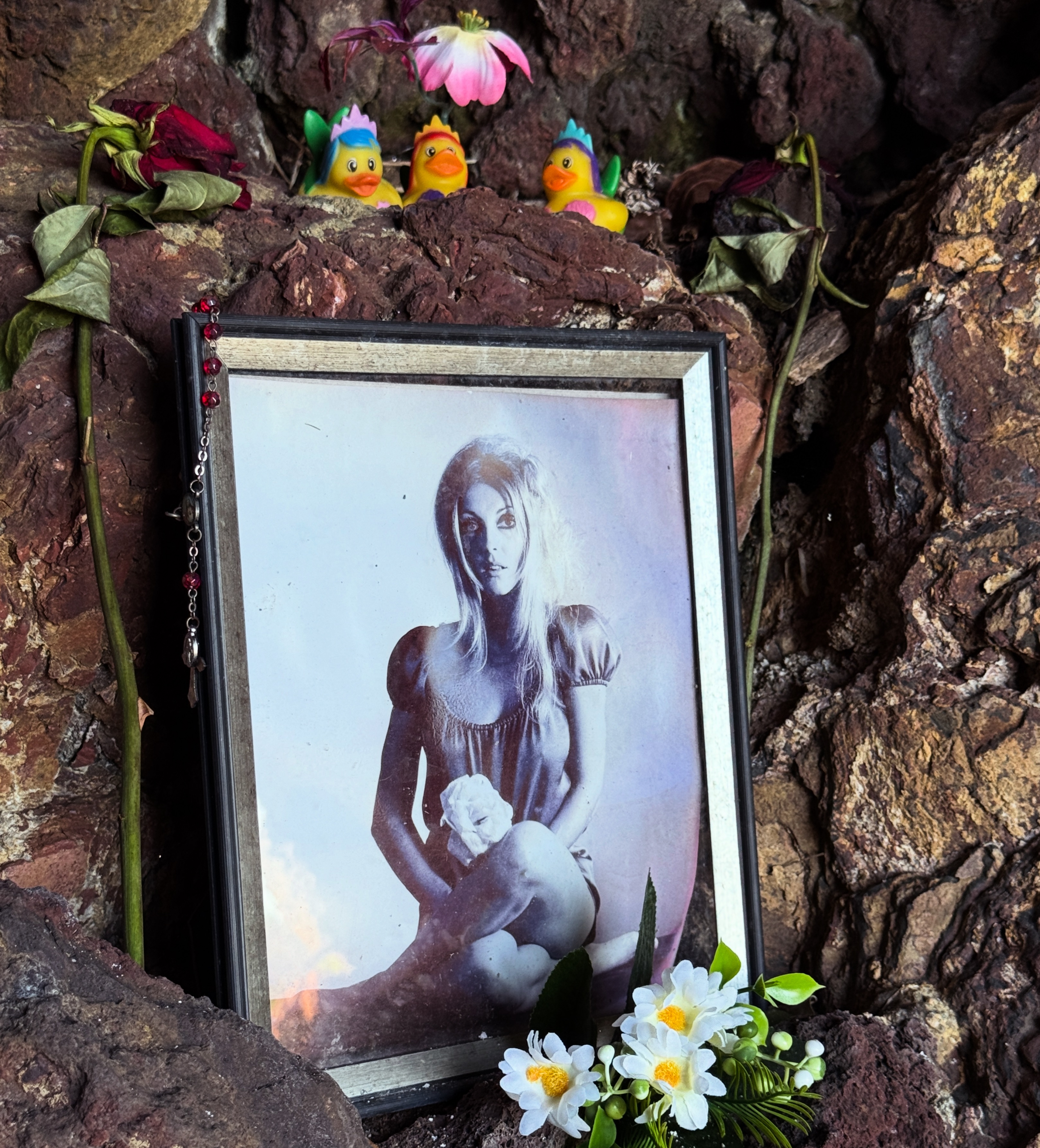 A shrine to actress Sharon Tate in the grotto of Holy Cross Cemetery, not far from her grave.