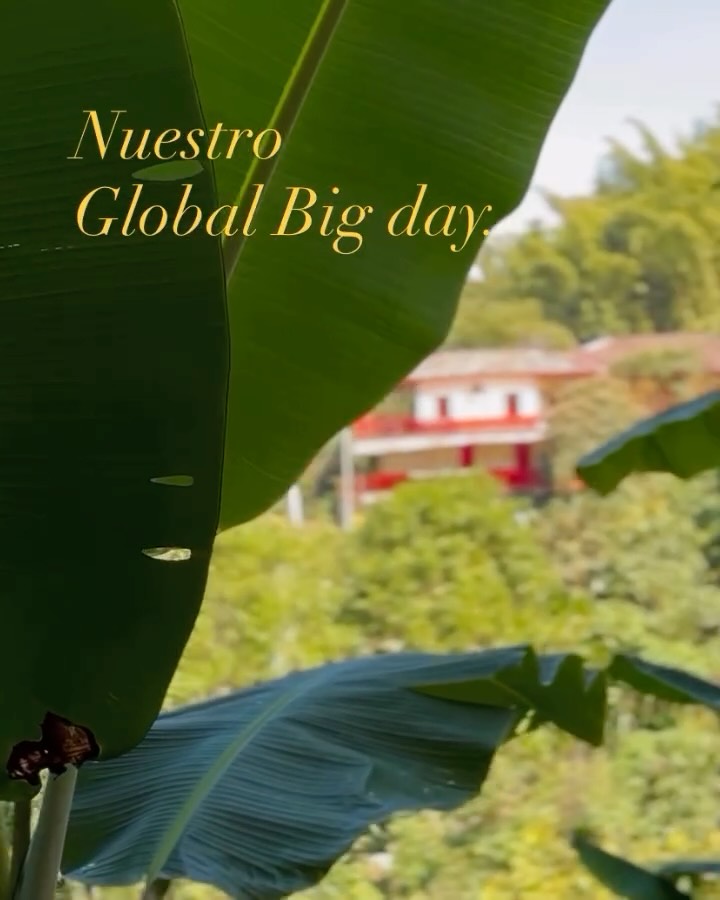 🌍🐦 Así fue nuestro #GlobalBigDay en el Paraíso 🌿✨
Disfrutamos de un día increíble caminando por nuestros senderos y mirando siempre hacia arriba. Gracias a este esfuerzo, logramos registrar más de 100 especies en este día tan especial.
Cada avistamiento nos recordó la belleza y biodiversidad que nos rodea en este maravilloso lugar. ¡Gracias a todos los que hicieron parte de esta experiencia!
ENG/
🌍🐦 This is how our #GlobalBigDay went in Paradise 🌿✨
We enjoyed an incredible day walking along our trails and always looking up. Thanks to this effort, we managed to record more than 100 species on this special day.
Each sighting reminded us of the beauty and biodiversity that surrounds us in this wonderful place. Thank you to everyone who was part of this experience!
#ParaísoVerde #Birdwatching #Biodiversity