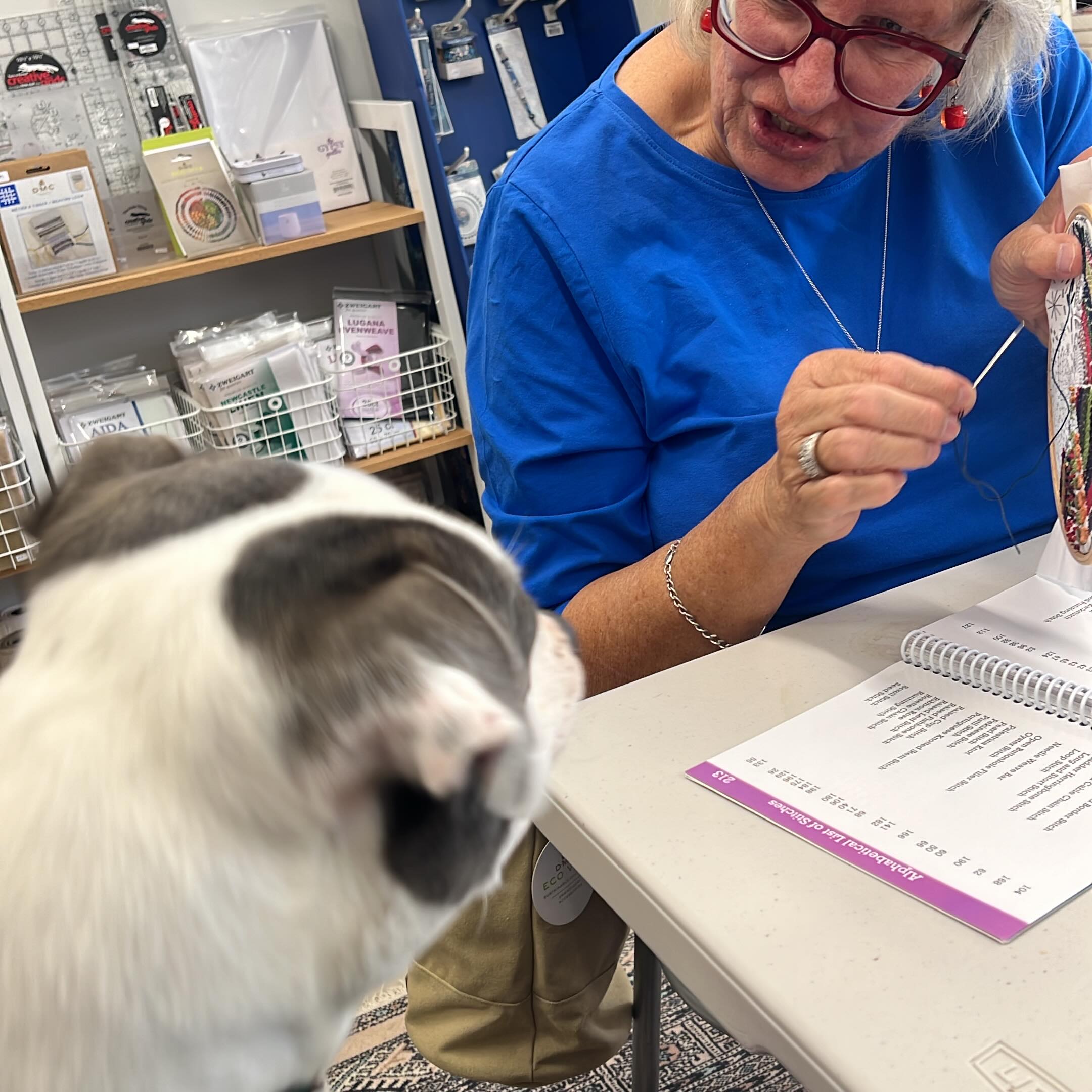 Ooooo. Look a new student in class. Lucy is in class for some learning. Let’s see how this goes. 🤪