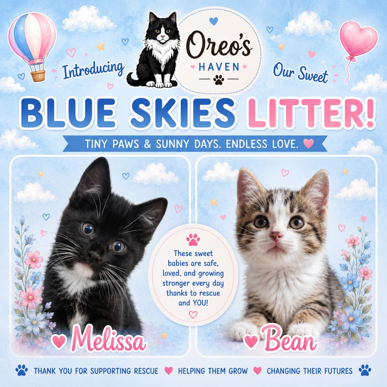 ☁️💙 Meet the Blue Skies Litter 💙☁️
These sweet little babies are getting ready to find their forever families, and we can’t wait for everyone to meet them in person! 🐾
Full of playful energy, tiny purrs, and endless cuddles, the Blue Skies Litter has already stolen our hearts. Now they’re ready to start meeting potential adopters and soaking up all the love this Saturday!
📍 Join us at our adoption event:
🗓 Saturday
⏰ 12 PM – 4 PM
📍 PetSmart
260 E Harney Ln, Lodi, CA
Come meet adorable adoptable kittens, chat with our team, and learn more about the Blue Skies babies! Applications can also be submitted online at:
🌐 Oreo’s Haven
Saving lives one purr at a time 🐾💙