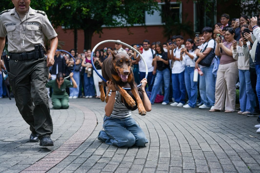 En nuestro Campus Samborondón, vivimos la Feria de la Policía Nacional sobre Plan de Prevención y Seguridad 🚔
Nuestra comunidad universitaria participó en una jornada informativa sobre prevención y seguridad ciudadana, que además contó con la presentación de la banda de la Policía Nacional y demostraciones de las unidades especializadas antiexplosivos, GIR y Caninos de la Policía Nacional del Ecuador. 🐕
Seguimos impulsando espacios que fortalecen la convivencia, el bienestar y la cultura de prevención en nuestra comunidad ECOTEC. 🚀