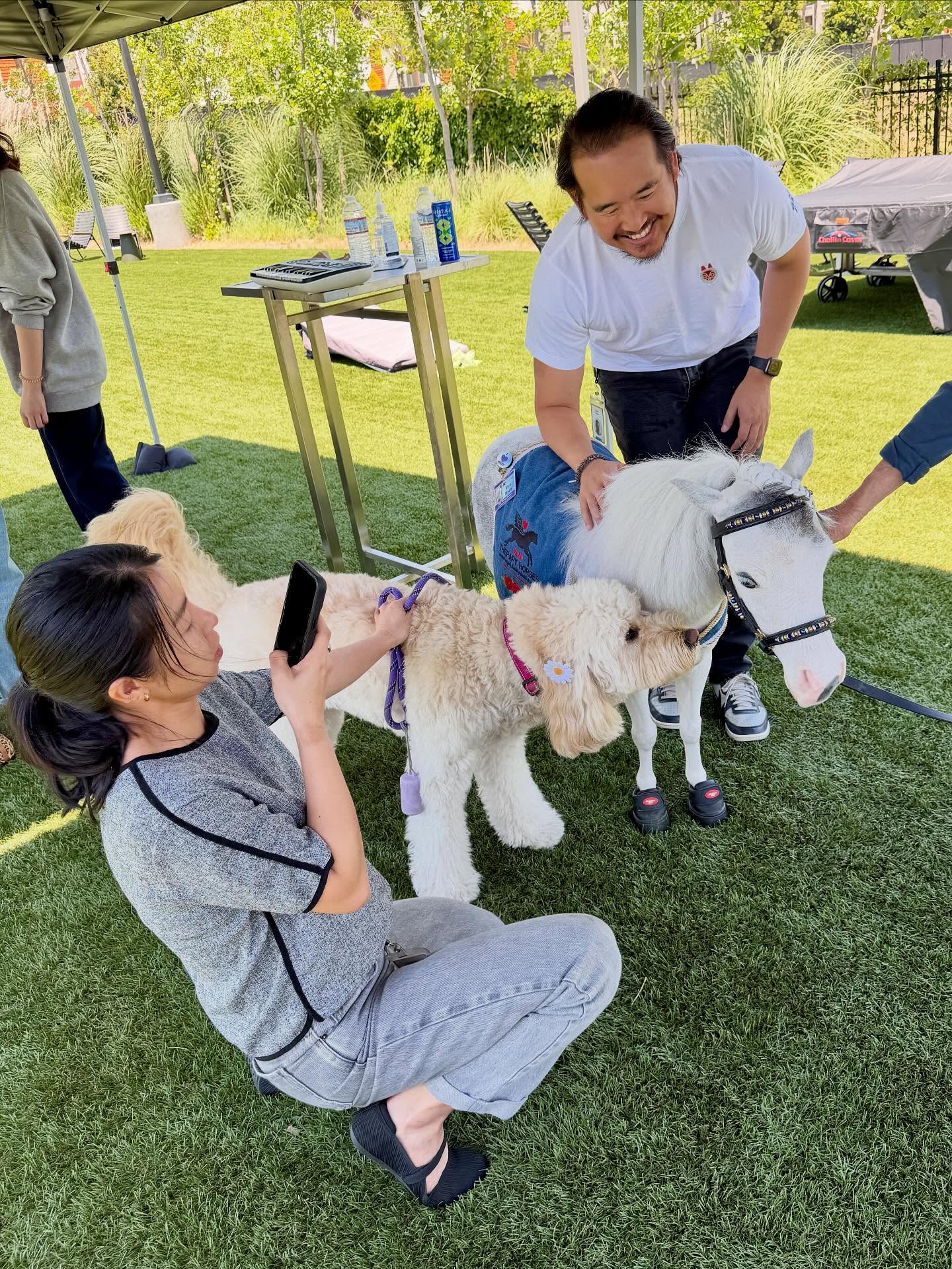 For Mental Health Awareness Week at Google the employees had a great time connecting with Blue Moon and Belle. We had a constant flow of awesome horse huggers. #horse #minitherapyhorses #comfort #destress @google @googlehealth #community #minihorse #joy #happiness