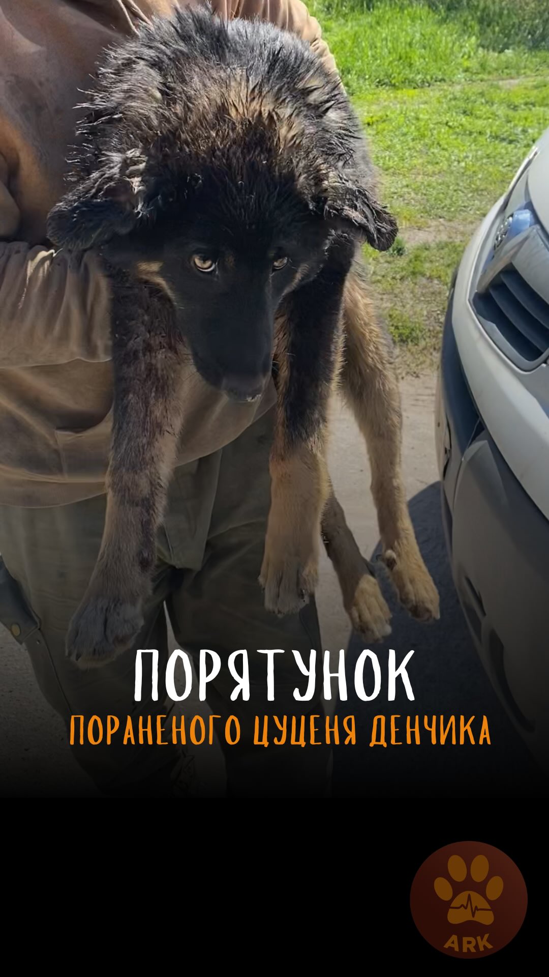 В такому стані цуценя Денчіка знайшли працівники підприємства, де він живе (⬇️ENG)
Та звернулися до нас в ARK за допомогою в його порятунку.
У Денчіка була велика гнійна рана на лопатці, яка вже почала некротизуватися та від дуже сильного болю він дуже боявся довіряти людям і майже нікого до себе не підпускав.
Ми розпочали йому курс інтенсивного лікування та разом із цим процес установлення довіри.
«Ми йому намагалися зробити максимально комфортні умови, щоб усе було тихо. Бо він боявся гучних звуків. Йому завжди подобався вологий корм. Це ми його так приманювали до нас, задобрювали»
І ось Денчік через місяць лікування та реабілітації !
«Ось ми вже на вулиці, звикаємо до поводка. Він дуже радіє, коли бачить людину, любить погратися».
Денчік наразі продовжує лікування в нашій клініці ARK. Рана ще загоюється продовжуємо обробляти.
Після повного завершення лікування Денчіка можна буде всиновити в родину
Хай Життя переможе все!
Зробити донат можна за посиланням у біо чи в коментарях 👉
This is the condition little Denchik was found
People reached out to us at ARK for help saving him.
Denchik had a large infected wound on his shoulder blade.
Because of the severe pain, he was terrified of trusting people.
We immediately began an intensive course of treatment for him, while also starting the long process of building trust.
“We tried to make the most com