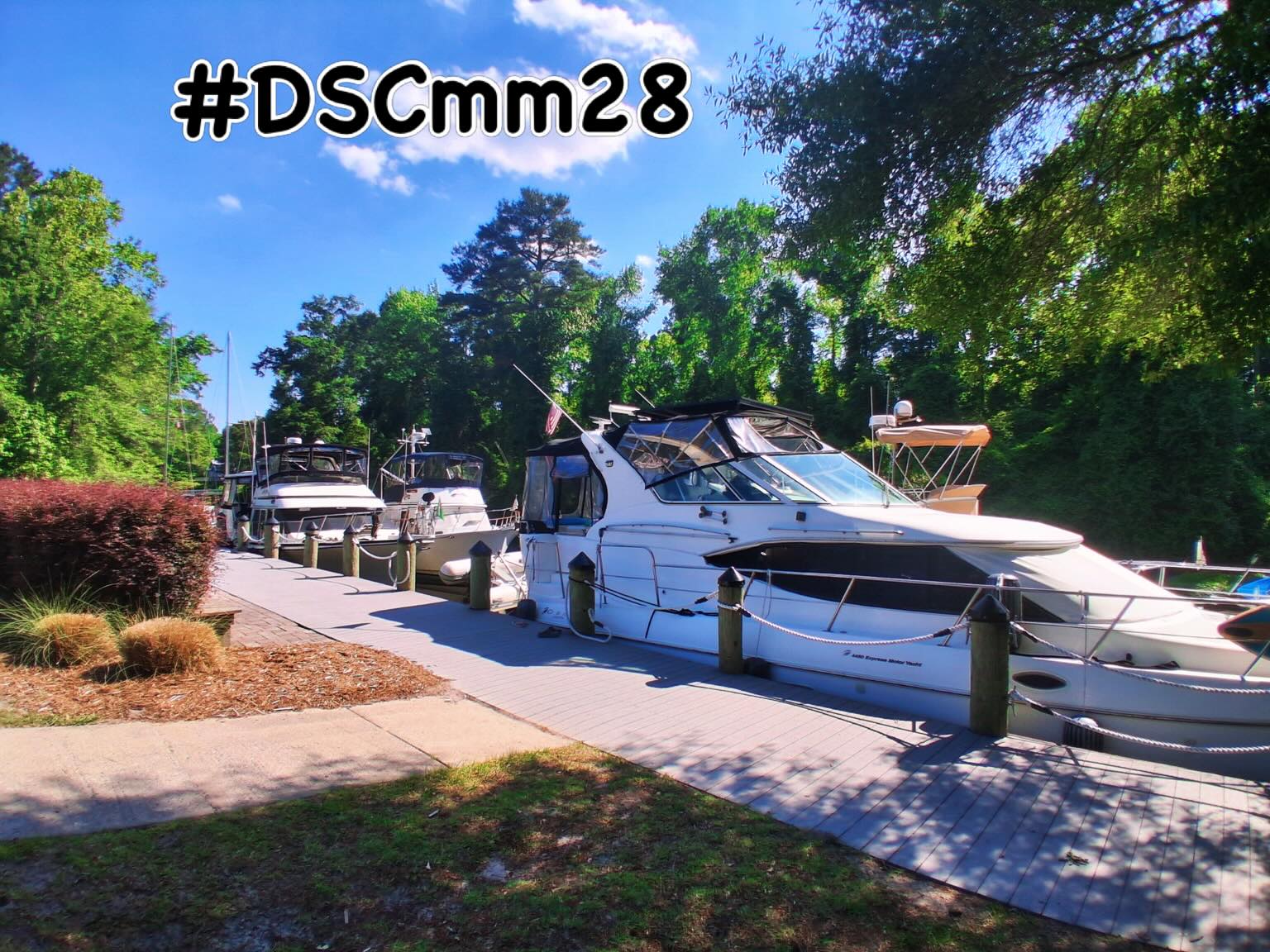 It has been a busy day here at #dscmm28 There is a full dock and lots of great people enjoying their trip 🛥️⛵️on the #dismalswampcanal ☀️😎 we’ve even heard that baby bears were spotted along the canal bank 🐻
@visitcamdennc @waterwayguide @cruisersnet @watersidemarinava @visitbelhaven @belhaven.marina @ecchamber @visitecity @norfolkdistrict