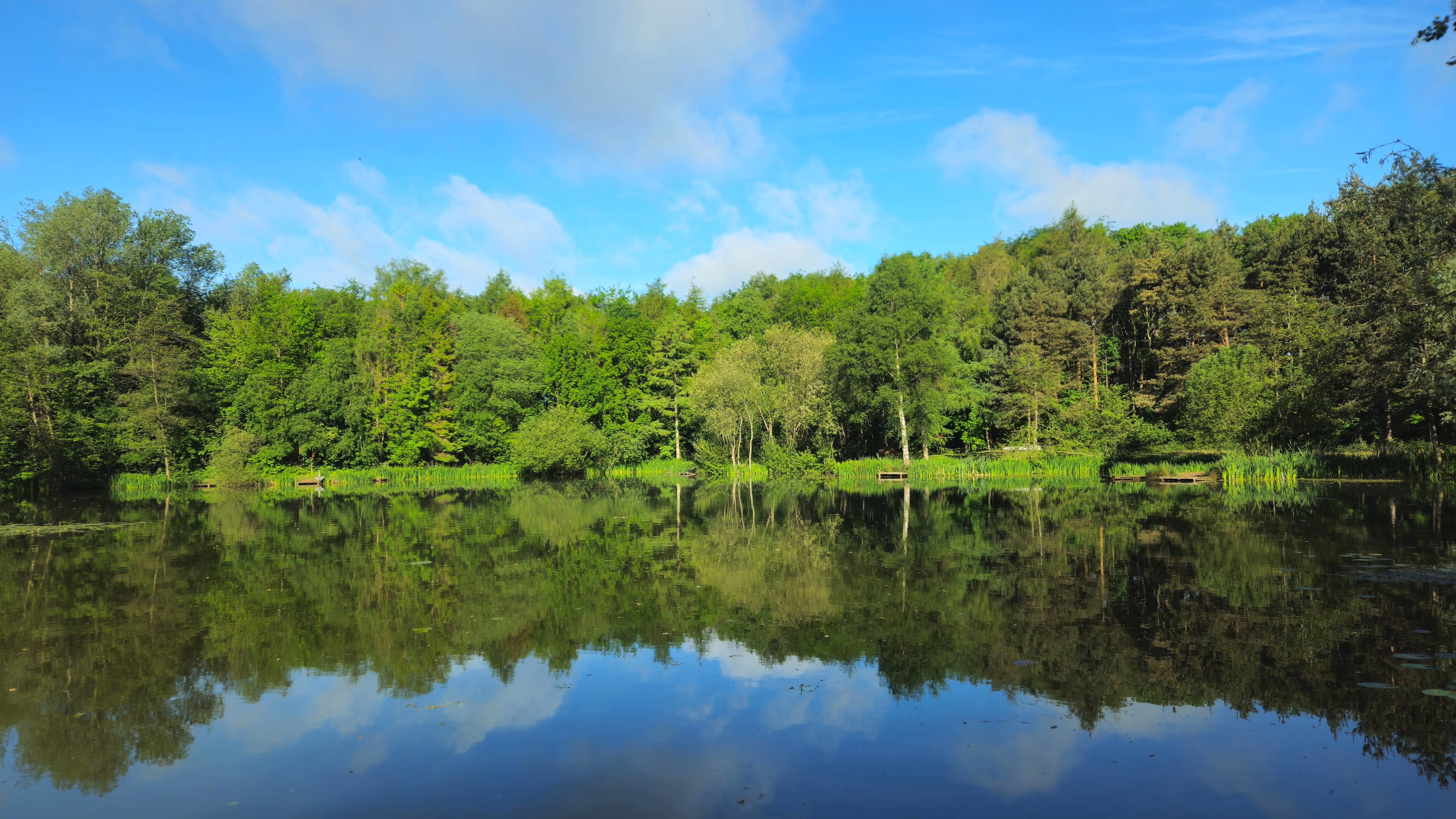 Bank Holiday Weekend Has Arrived… and the sunshine is coming with it! 🎣
We’re open all weekend from 8am – 8pm, including this Monday.
Whether you’re after a peaceful few hours by the water or a full day on the bank, there’s no better time to get outdoors and enjoy the warmer weather 🌿🐟
Grab your gear, bring the sun cream, and we’ll see you at the fishery!
#anglerlife #coarsefishing #flylife #bankholiday #fishingadventures