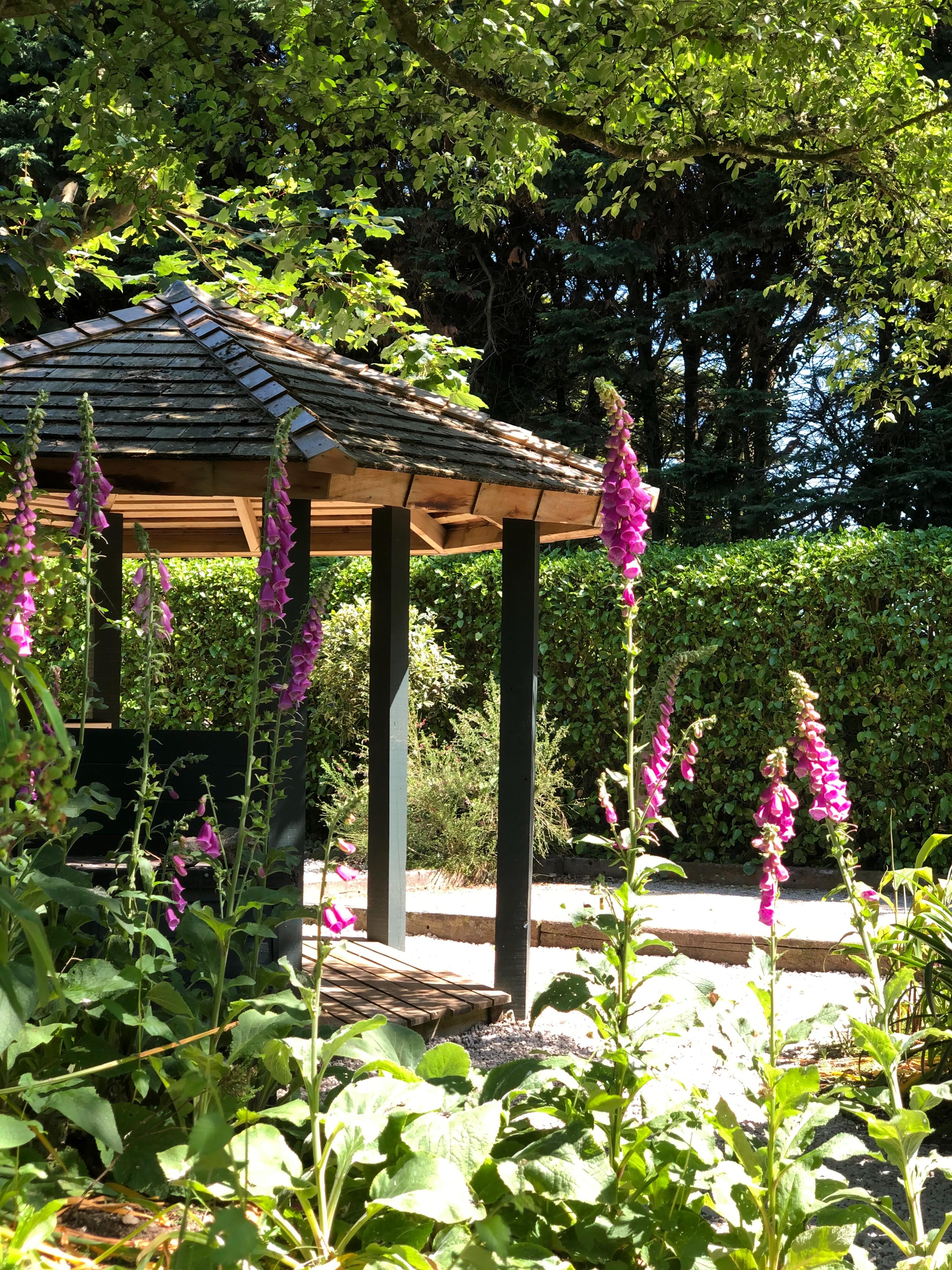 We're heading into foxglove season and I for one am excited. I love these striking, statuesque wildflowers and let them self-seed all over the gardens at Middle Colenso. You'll see them everywhere over the next few weeks.
If you're a foxglove fan, artist Kurt Jackson has an exhibition dedicated to them at his gallery in St Just until August. #foxgloves #wildflowers #cornwall #lovecornwall #explorecornwall