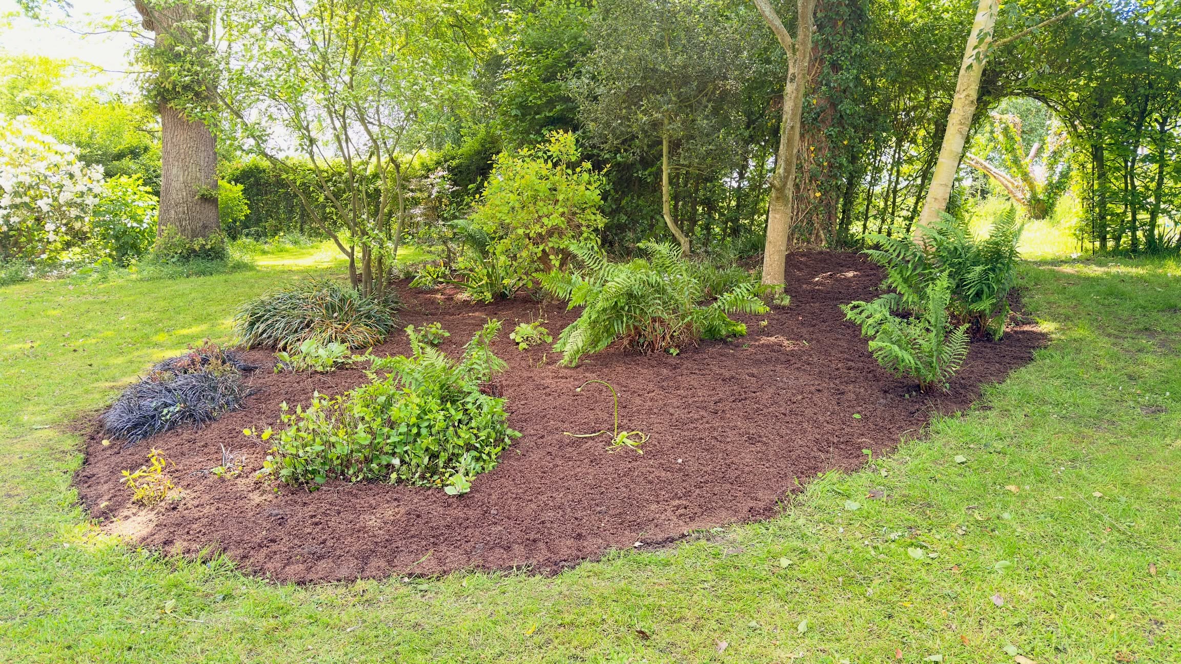 Flower bed transformation 😮🌿
This is part of a brand new maintenance contract we’ve just started — and what a property it is! 🏡✨ The gardens here are huge, with lots of large beds and landscaped areas that unfortunately had been left for quite a while.
Our first task was tackling these overgrown flower beds 🌱💪 Going through carefully by hand, digging out all the weeds, clearing unwanted growth, and cutting back plants and shrubs that needed bringing back under control ✂️🌿
Once everything was cleared, we forked through the soil to loosen and refresh the bed, helping get air and nutrients back into the ground 🌸 Then finished it off with a gentle sprinkle of compost to give the bed a much-needed boost and kick some life back into it 🌱👌
The transformation already makes such a difference — cleaner, healthier, and ready to thrive again 🙌 This is just the beginning of getting these gardens back to their full potential.
Check out the before picture… it’s the last one 📸➡️😮
M.J.B Group Ltd
Tree & Garden
📱 01225 - 941139
📧 info@mjbgroup.co.uk
💻 www.mjbgroup.co.uk
#gardenmaintenance #flowerbeds #gardentransformation #landscapinguk #gardencar