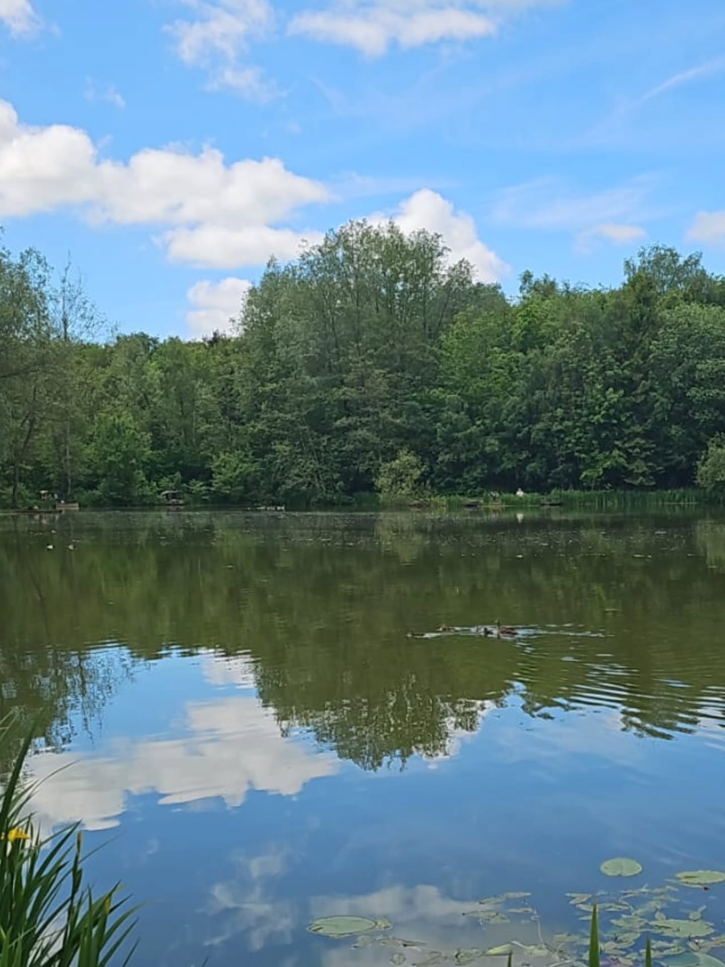 ☀️ With the warmer weather, many of the fish will now be feeding on the surface.
We do NOT allow the use of dog biscuits or bread at any time at out fishery.
Floating pellets are available to purchase from the fishery reception.
If you are fishing on top, please be mindful of the wildfowl on the lake.
Thank you for helping us maintain the health of our fish, wildlife and water quality 🎣
#surfacefishing #anglerlife #wildfowl #sunisshining