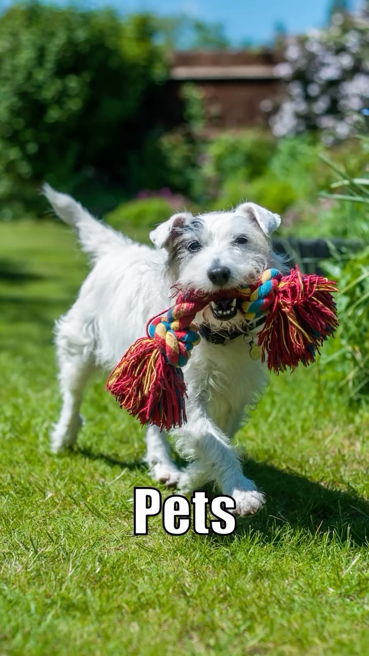 I swear I do more than just property!
#propertyphotography #hertfordshire #photographymeme