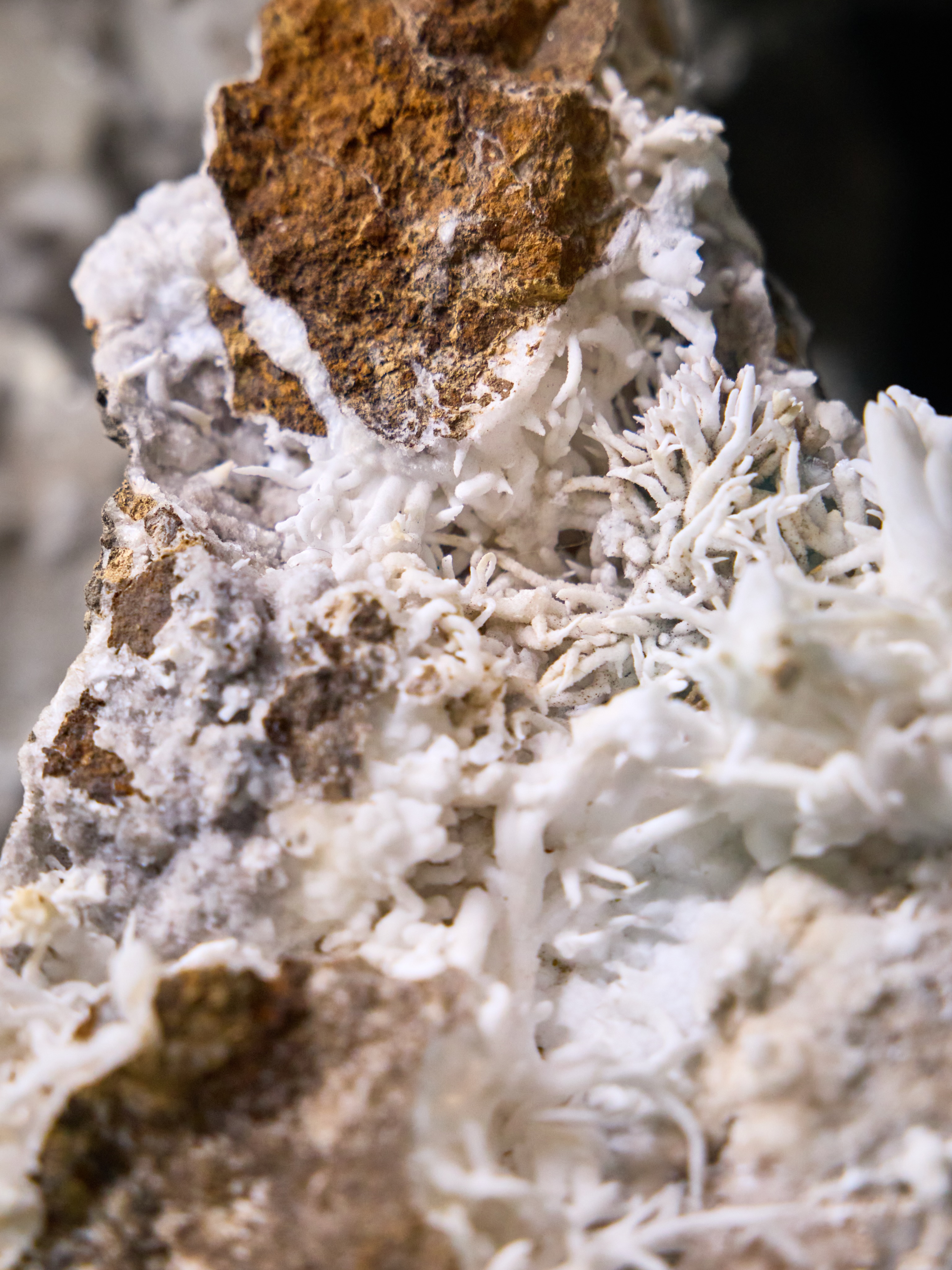 MINERAL MONDAY ✦ FLOS FERRI
Today we take a short journey to our neighboring country, Austria 🇦🇹
This extraordinary specimen is known as Flos Ferri, which translates to “Flower of Iron.” The delicate white formations resemble tiny coral branches or frozen blossoms.
Flos Ferri is a rare variety of aragonite and is especially famous in the Austrian region of Styria, where some of the world’s finest specimens have been discovered.
Fun fact: Because of its intricate and fragile structure, every piece is completely unique and highly prized by collectors.
Elegant, delicate and sculpted by nature itself.
Discover this and many more treasures in our mineral museum at Mineralienhotel.
#mineralmonday #mineralmoments #mineralienhotel #minerals #flosferri #eisenblüte #aragonite #austrianminerals #styria #mineralmuseum