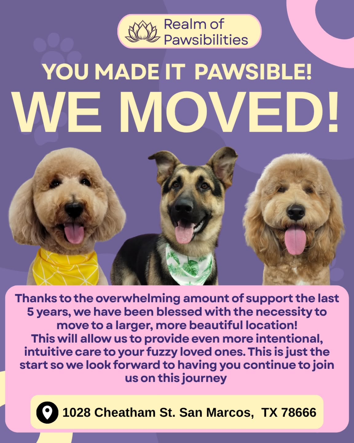We’ve officially moved ✨🐾 Same intentional care, same calm one-on-one experience, just in a brand new space that we can’t wait to share with you all 💛
#doggrooming #luxurydoggrooming #sanmarcostx #smallbusiness #dogspa