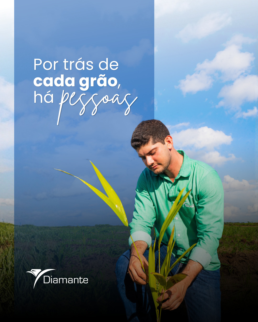Escolher compromisso.
Escolher fazer bem feito, mesmo quando ninguém está olhando.
É isso que sustenta uma marca forte ao longo do tempo.
#Escolhas #Compromisso #MarcaForte #DiamanteAgrícola