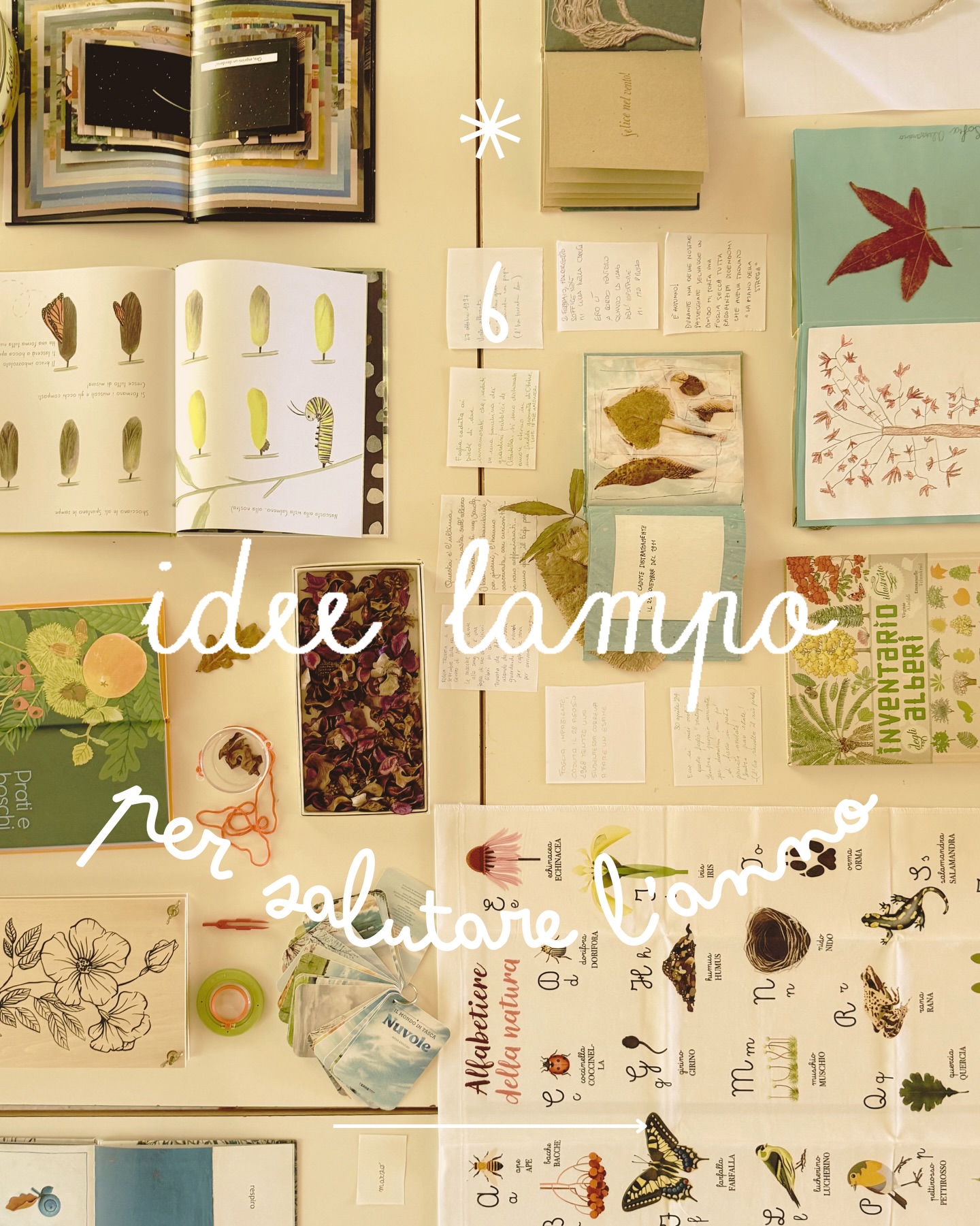 Si avvicina la fine della scuola 🌼
E noi vi abbiamo raccolto in questo carosello
alcune delle pratiche che abbiamo portato
nelle nostre classi in queste ultime giornate
prima della pausa estiva ☀️
Speriamo vi possano ispirare nuove idee ✨
Voi cosa avete in mente?
Avete già pensato a come chiudere l’anno tra le storie?