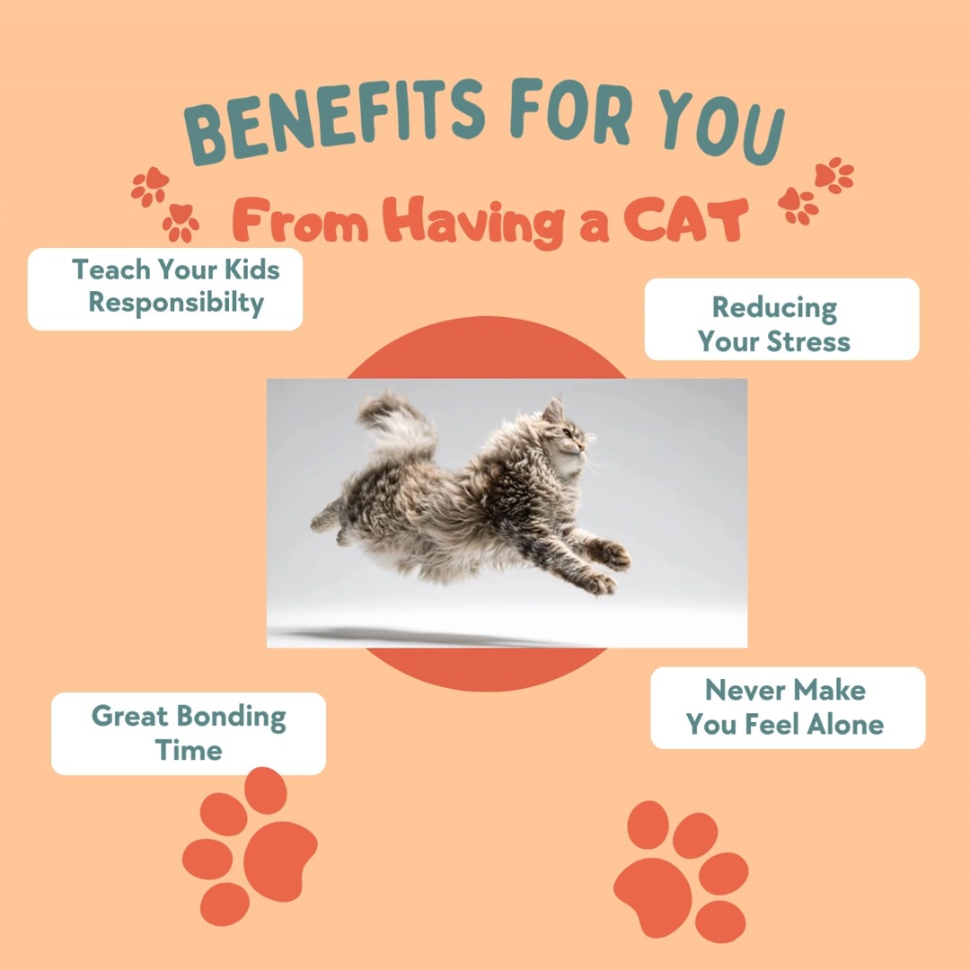 🐱 Benefits of Owning a Cat
Thinking about adding a feline friend to your life? Cats bring more than just cute faces and soft purrs—they bring real benefits too. 🐾
✨ Stress Relief – A cat’s purr can be incredibly calming after a long day.
✨ Low Maintenance Companions – Cats are independent but still love connection.
✨ Great for Small Spaces – Perfect for apartments or cozy homes.
✨ Natural Pest Control – They help keep unwanted critters away.
✨ Emotional Support – Cats provide comfort, companionship, and unconditional love.
✨ Quiet Companionship – They’re there for you without needing constant attention.
Whether they’re curled up beside you or playfully chasing a toy, cats have a special way of making life better. 💙
If you already have a cat, you know just how much they mean. And if you’re thinking about it—this might be your sign.
Support pet families anytime at: www.alabamapetpantry.com
#CatLove #CatBenefits #PetCompanions #AlabamaPetPantry