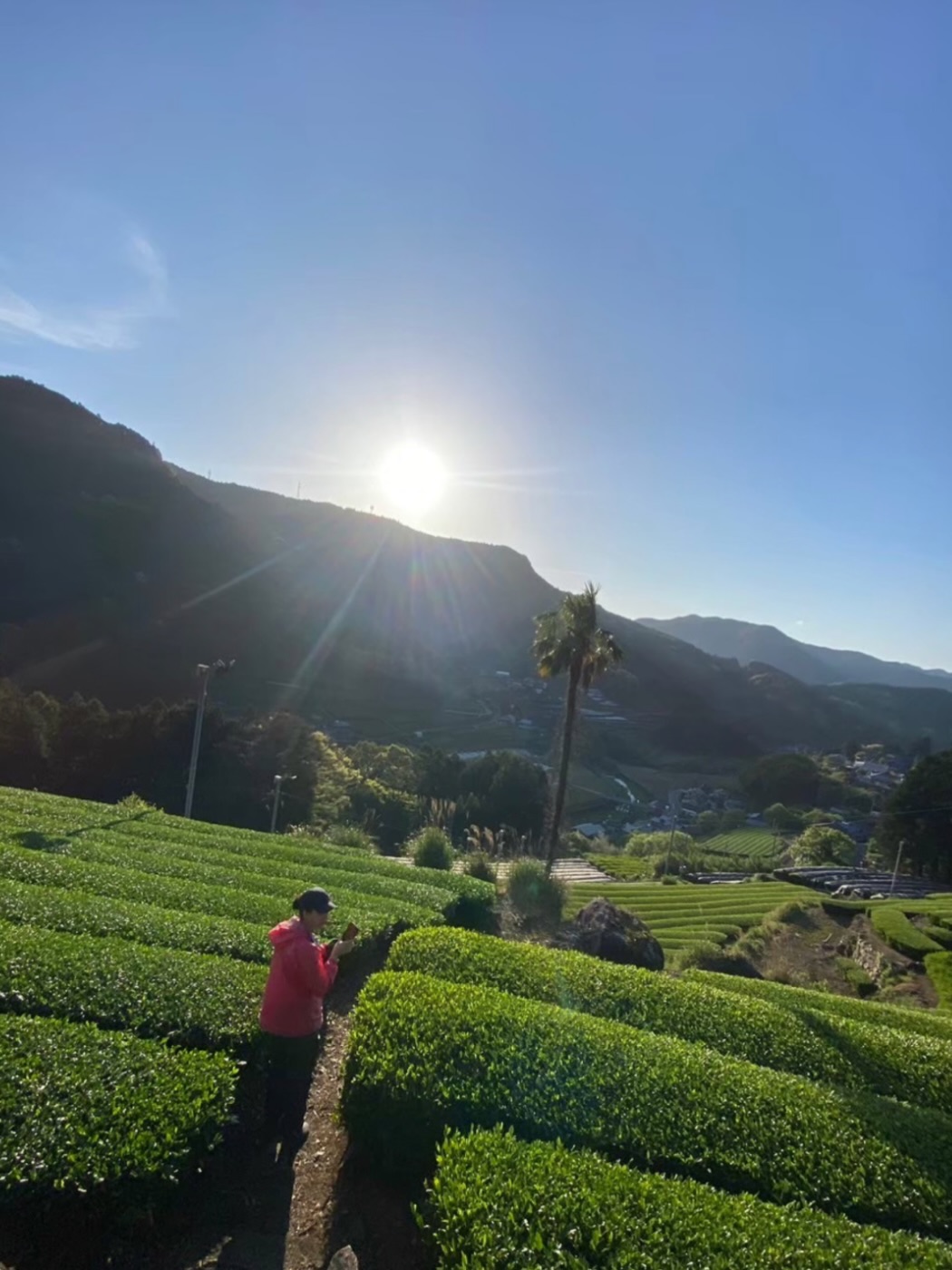 🇫🇷✨ BRUSSELS INTERNATIONAL TEA DAY ✨
📍Maison Pelgrims, Saint-Gilles
🗓️ Dimanche 31 mai 2026
🕑 14h-18h
À l’occasion de la Journée internationale du thé, la Maison Pelgrims invite le public à un voyage sensoriel à travers les pays producteurs, les terroirs et les rituels du thé.
De la Chine au Japon, en passant par l’Inde, la Corée du Sud, Taïwan ou encore le Pérou, cette après-midi sera placée sous le signe du partage, de la découverte et de la transmission.
🫖 À chaque heure (14h15, 15h15, 16h15, 17h15) : dégustations, démonstrations et rituels autour du Cha no yu, des thés du Japon, de Corée, d’Inde, de Taïwan et du Gong Fu Cha.
Avec Lan Se Tea House, Thestimony, L’Autre Thé, Formosa Brew, Urushi, MADN, Kruze, Wild Orchard, et une avant-première de thés présentés au Brussels Tea Festival®, le 27 septembre 2026.
Un moment inspiré par les valeurs du thé : harmonie, respect, pureté et sérénité
和 敬 清 寂 | Wa, Kei, Sei, Jaku
Un événement organisé par le Brussels Tea Festival®, avec le soutien de la Maison Pelgrims et de la Commune de Saint-Gilles.
🎟️ Entrée libre sur inscription.
🇬🇧✨ BRUSSELS INTERNATIONAL TEA DAY ✨
📍Maison Pelgrims, Saint-Gilles
🗓️ Sunday, 31 May 2026
🕑 2 PM-6 PM
To celebrate International Tea Day, Maison Pelgrims invites the public on a sensory journey through tea-producing countries, terroirs and rituals.
Discover teas and traditions from China, Japan, India, South Korea, Taiwan and Peru, with hourly tastings, demonstrations and tea rituals, including Cha no yu and Gong Fu Cha.
With @lanse_teahouse , @thestimony_ , @lautrethe.be , @wildorchard.de , @formosabrew , @tea.urushi and @madntea and a preview of teas presented at the Brussels Tea Festival® on 27 September 2026.
An event inspired by the values of tea: harmony, respect, purity and tranquillity.
Organised by the Brussels Tea Festival®, with the support of Maison Pelgrims and the Municipality of Saint-Gilles.
🎟️ Free entry upon registration.
Link in bio
#internationalteaday #brusselsteaday #brusselsteafestival®