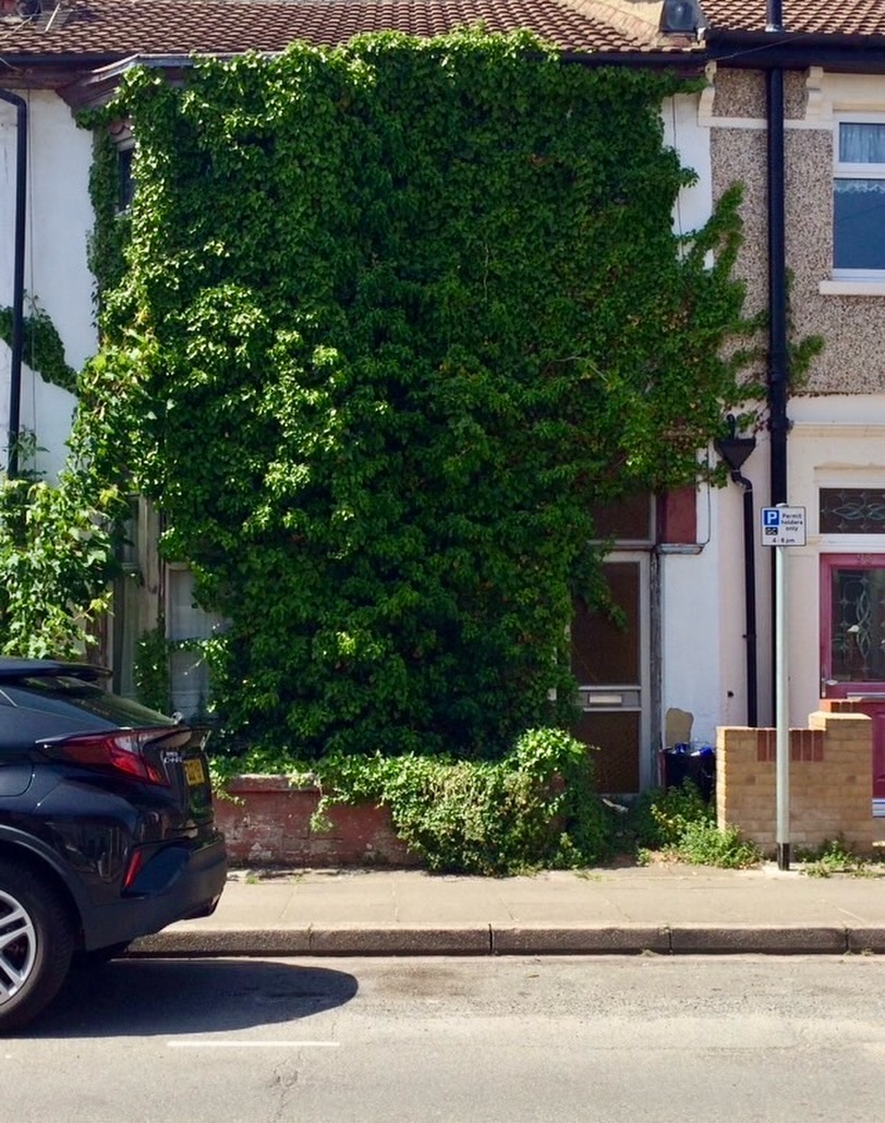 Bank holiday plans? ☀️🌿
While most people are firing up the BBQ, the Empty Property Hunters clearance crew will be firing up the strimmers.
This one’s gone full Jumanji. 🌳🏚️
Have a brilliant bank holiday all. And if you’re out and about and spot a house disappearing behind bushes and brambles…you know what to do. 👀