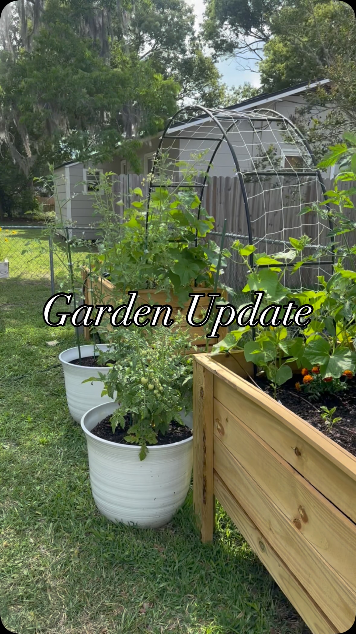 A little garden update.
