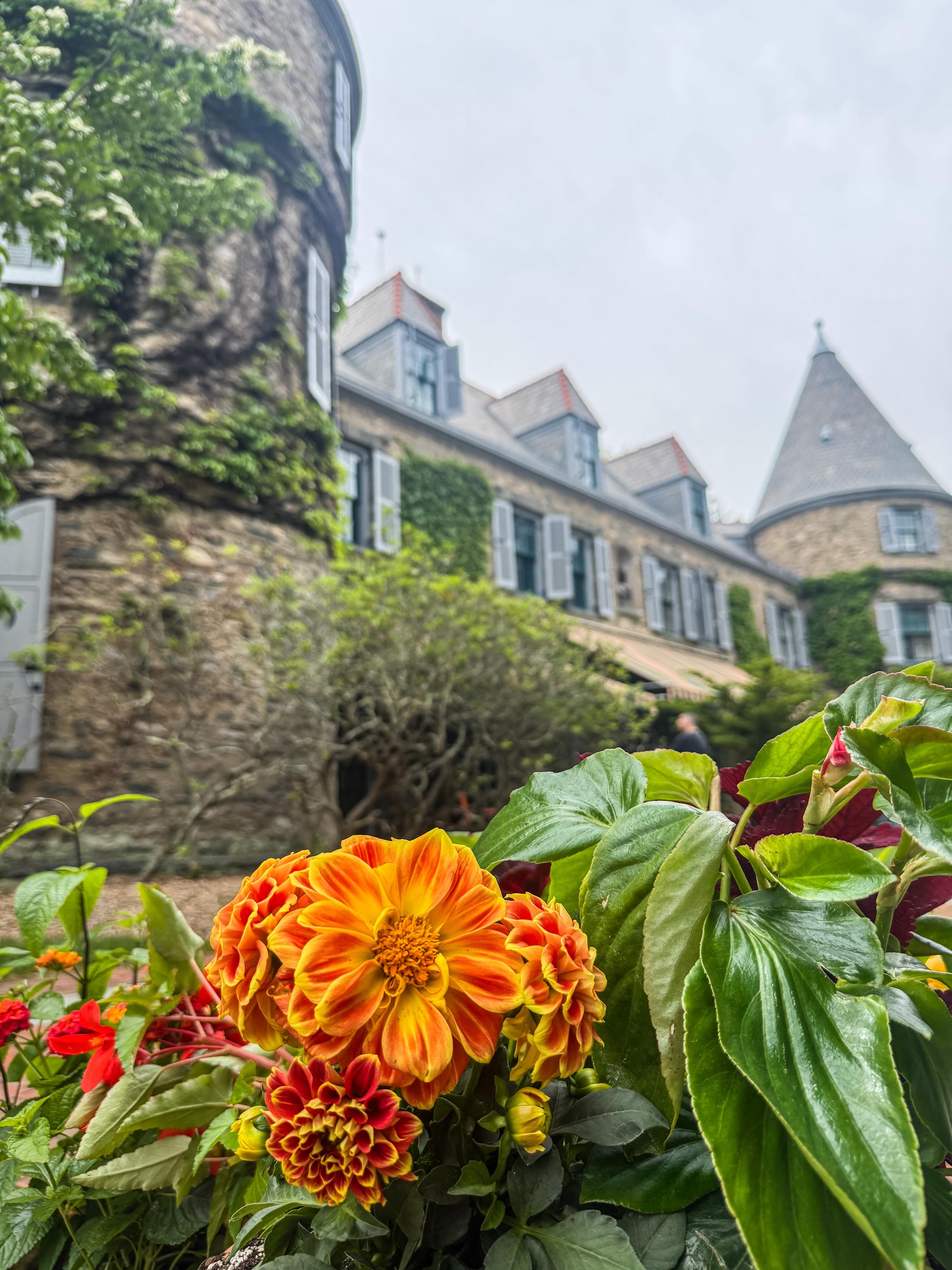 An afternoon at Grey Towers. 🌳
