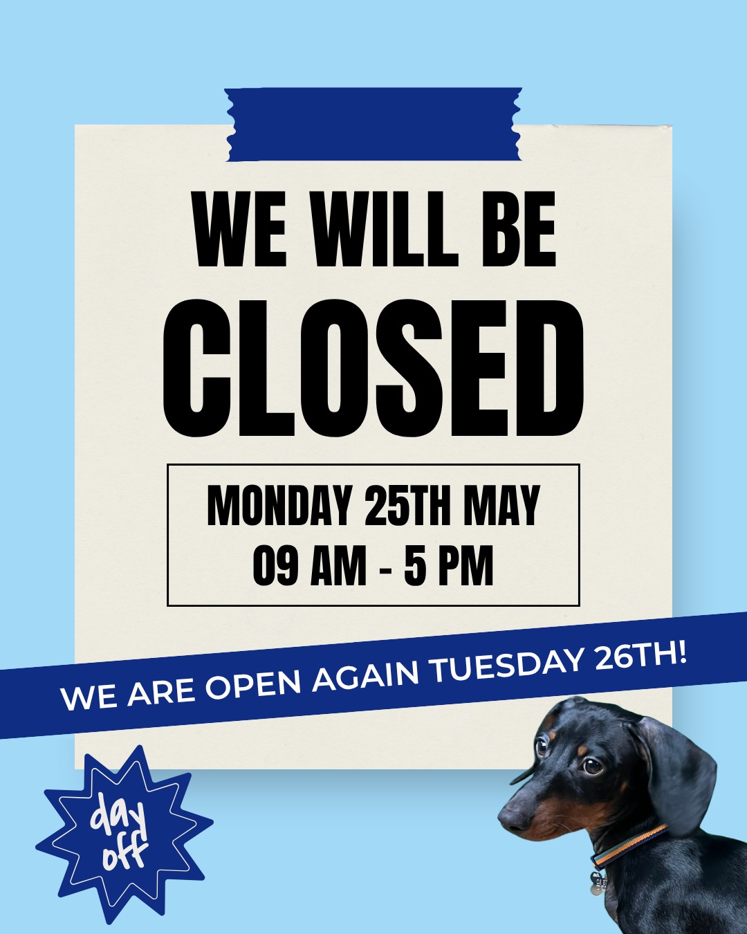 We will be closed for the bank holiday on Monday, 25th May!
Hope everyone enjoys the sunshine and gets some time to relax! 🌞