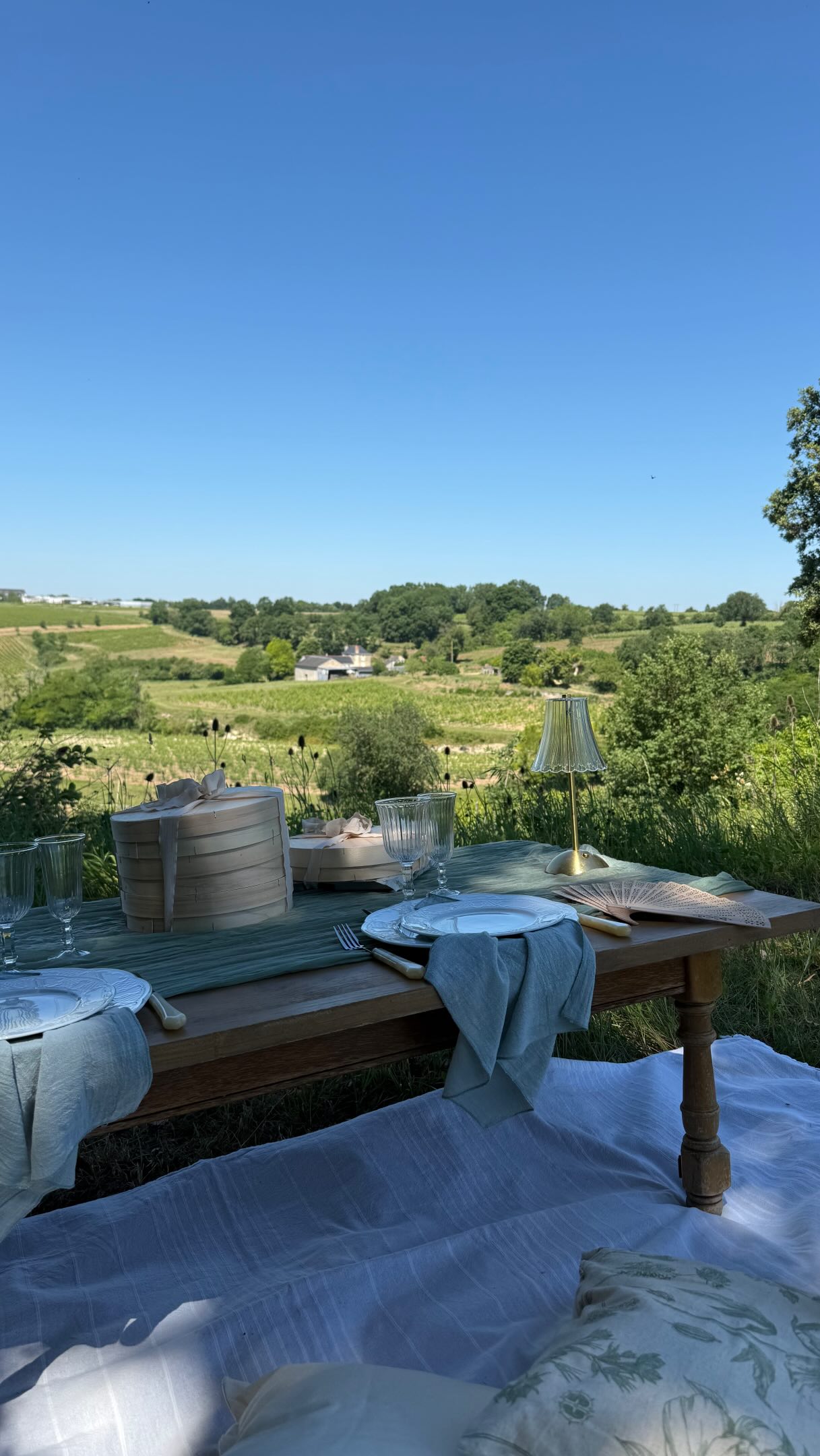 L’expérience oenotouristique la plus agréable sous 32 degrés à Chinon 🍇