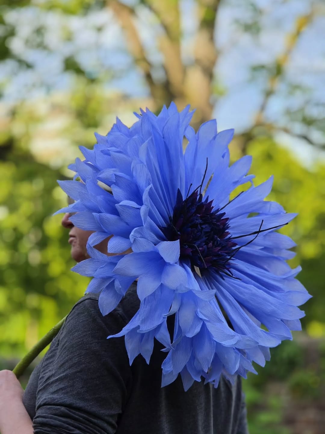 Just casually walking round my garden with a crepe paper cornflower over my shoulder, as you do.
We're expecting a hot bank holiday weekend here, so I'm off for a few cold adult beverages to start the long weekend. Hope you all have a good one!
#paperflowers #paperflorist #cornflowers #crepepaperflowers