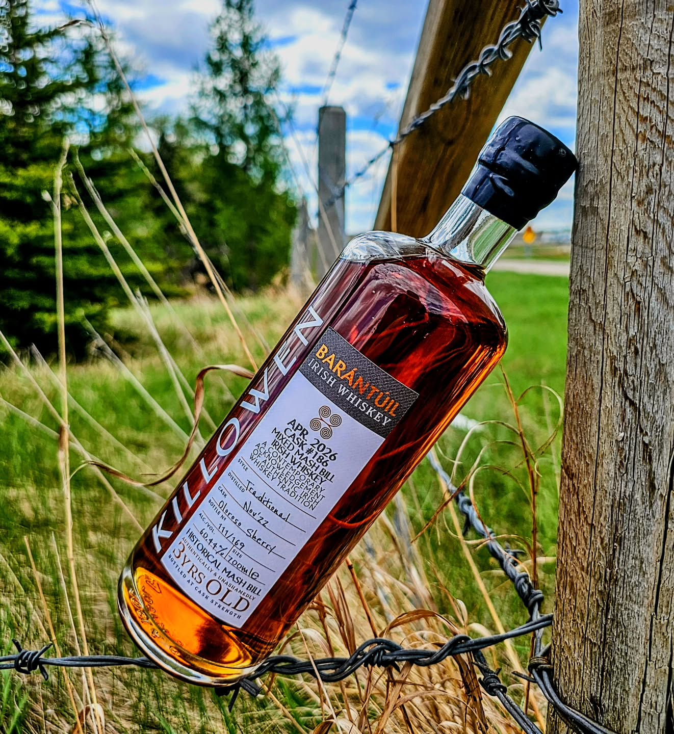 What happens when Ireland's best distillery dives deep into Irish whiskey History and decides to recreate something from the past?
You get an exceptional whiskey made with all the full flavours and a heap of history. You also get the first whiskey fully matured in Oloroso from Killowen which is a treat.
A very limited run of only 269 bottles all running a wild abv of 60.44%
I absolutely cant wait to pour this and spend some time with it....I think tonight might be that night!
.
.
.
.
.
#whiskey #killowen #history #ireland #delicious