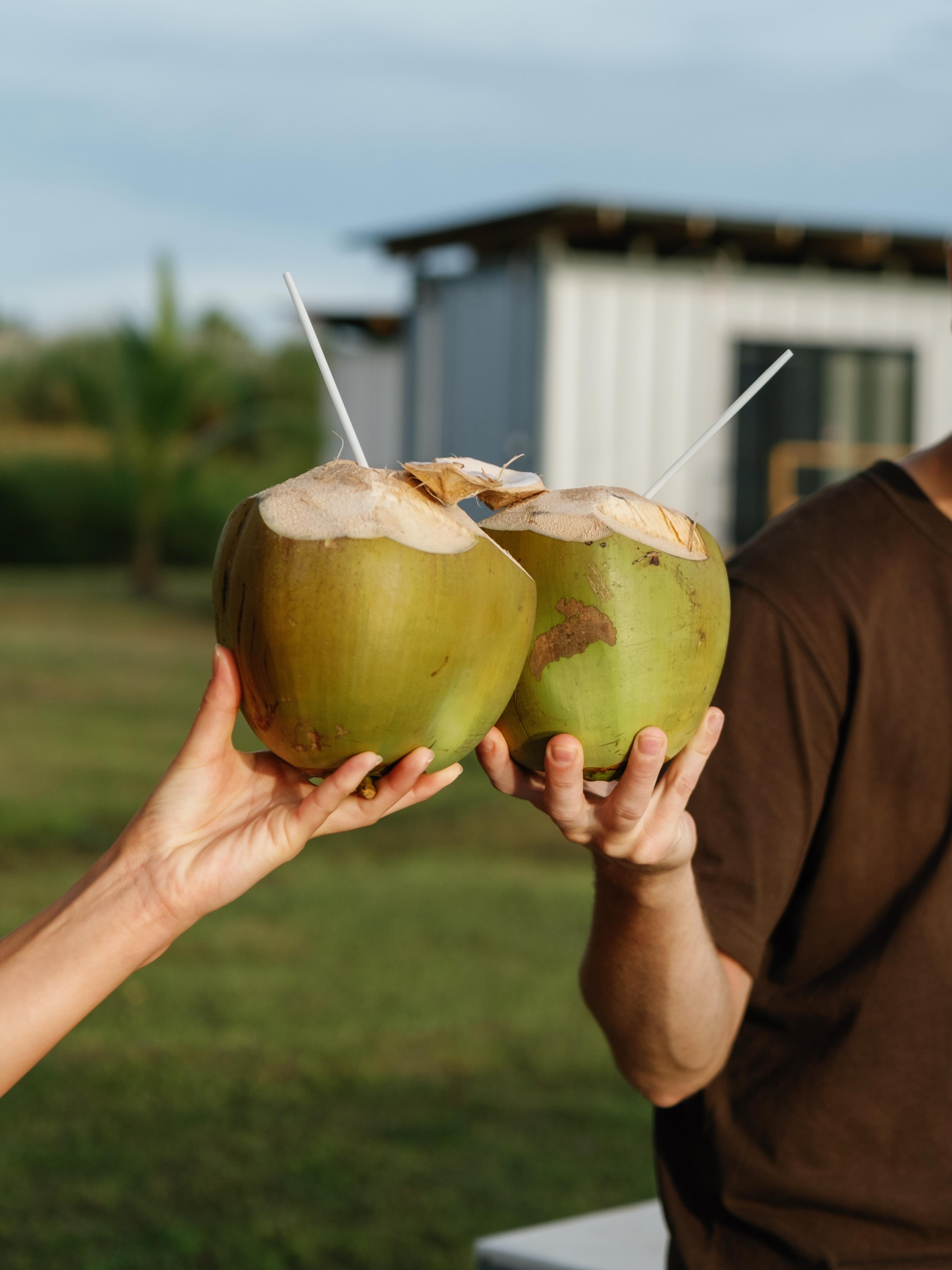 We say cheers! 🥥🌴
The fresh new studios are now live for bookings. See the link in profile.
Enjoy a fresh coconut anytime during your stay, harvested from over 100 coconut palms right here on the property. Fresh is best… 🤍
#coconuts #tinyhome #studio #fiji
📷 @seleaphotography