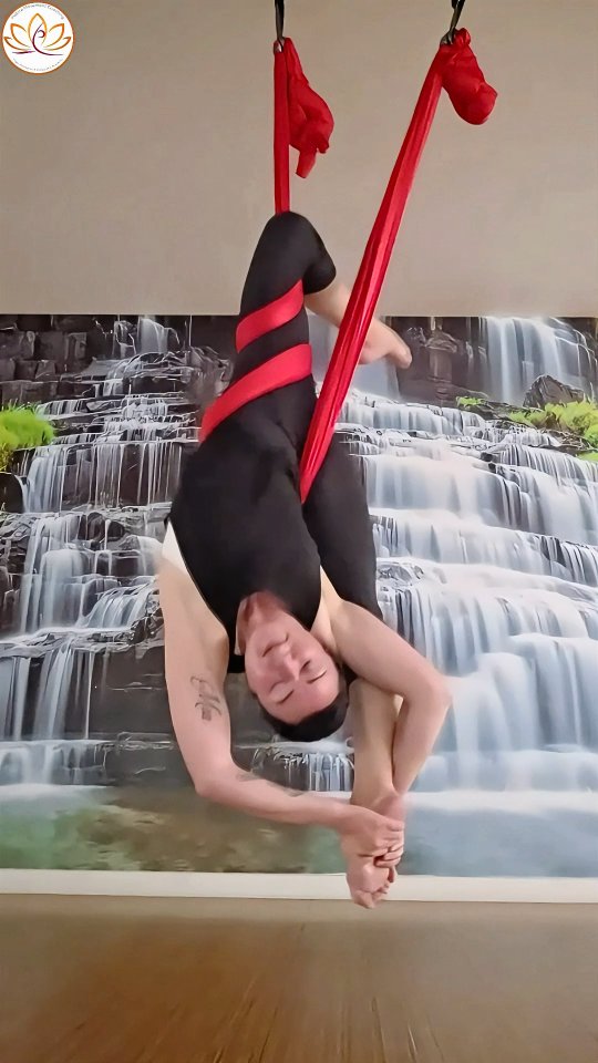 Bird of Paradise from a different perspective 🙃
#BirdOfParadise #AerialYoga #AerialYogaFlow #YogaPractice #YogaTeacher #YogaTeacherTraining #MindfulMovement #EmbodiedMovement #PlayfulMovement #YogaInspiration