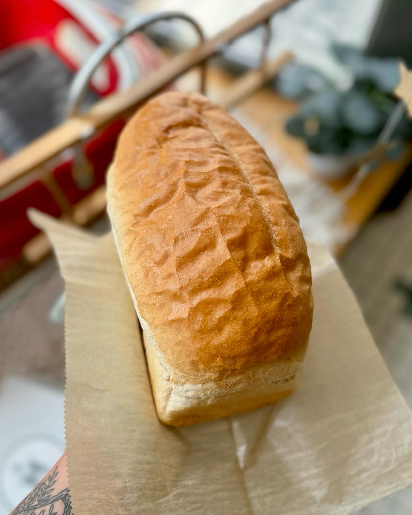With the seasons changing and summer routines making their return, we thought it might be the perfect time to share one of our own traditions that stays the same all year round. ✨
Every Wednesday, we bake fresh Basic White and Basic Wheat bread from scratch! With a glossy butter-brushed top and a subtle malty flavor, these soft loaves are often the first thing you smell when you step into the bakery on your morning drop-in. 👩🏼🍳
Whether you’re building picnic sandwiches, toasting a slice for breakfast, or pulling a loaf from the freezer midweek, our Basic White and Basic Wheat are here to stay. 🍞
#freshbakeddaily #mackenziesbakery #wednesdayfeature #breadrecipe #kzoobakery