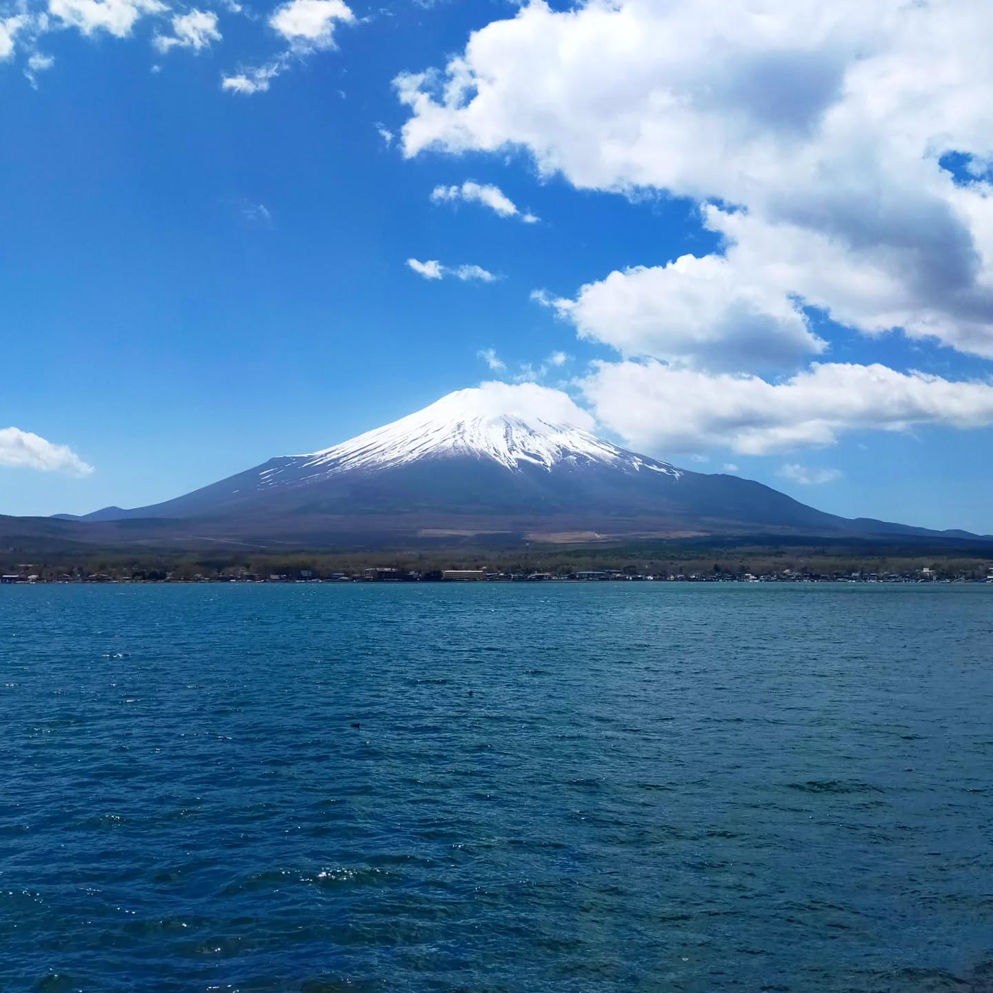 〈Go to Japan〉
Lake Yamanaka and Mt. Fuji.
【Come to our site and check it out!】
https://www.hmtourtokyo.com/mt-fuji-hakone-1-day-tour
【Check out our guided tours here!】
https://www.hmtourtokyo.com/tour-plan
#mtfuji #fujisan #fujiyama #yamanakako #yamanakalake
#japan #japantravel #traveljapan #japantrip #instagramjapan #japanphoto #travel #trip #travelgram #travelpics #travelphoto #travelphotography #traveler #japangram #beautifuljapan #bestjapanpics #japantour #日本旅行 #日本 #🇯🇵 #japan🇯🇵 #富士山 #山中湖