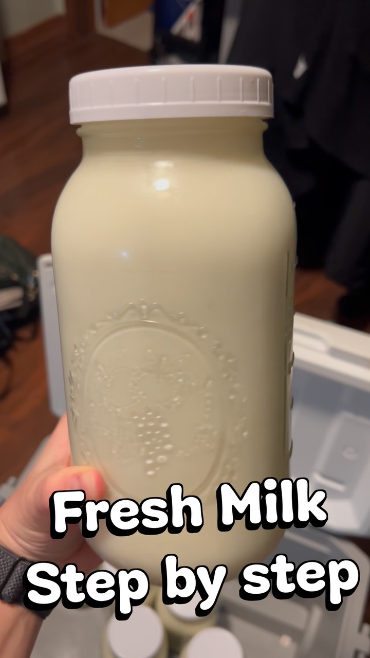 Fresh Milk | first steps I take
A peek into what I do once we get back from the farm. Milk doesn’t have to be complicated or hard to be nourishing.