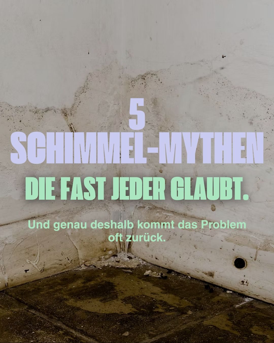 „Ich lüfte doch jeden Tag kurz… das reicht doch?“
Oder: „Schimmel kommt nur in alten Wohnungen vor.“ 👀
Rund um Schimmel kursieren extrem viele Halbwahrheiten – und genau die sorgen oft dafür, dass Probleme erst richtig entstehen.
Deshalb haben wir heute 5 typische Schimmel-Mythen für euch aufgedeckt. 🏠💨
Denn oft liegt es nicht nur am Gebäude selbst, sondern auch an:
• falschem Lüften
• zu kalten Räumen
• versteckter Feuchtigkeit
• Möbeln an Außenwänden
• oder ganz einfach an Dingen, die man nie erklärt bekommen hat.
👉 Swipe durch den Beitrag und prüf mal ehrlich:
Welche dieser Aussagen hast du selbst schon geglaubt? 😅
💬 Schreib’s in die Kommentare oder schick den Beitrag jemandem, der im Winter dauerhaft auf „Kipp“ lüftet.
#schimmelprävention #richtiglüften #wohnklima #heizenundlüften #farbelhaft