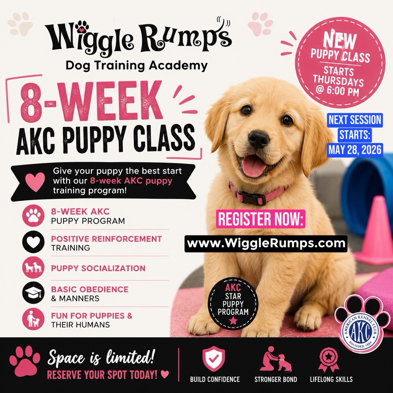 🐾✨ NEW 8-WEEK AKC PUPPY CLASS ✨🐾
Starting NEXT Thursdays @ 6:00 PM MAY 28th at:
Wiggle Rumps Academy 🐶🎓
Give your puppy the best start with our fun and structured 8-week AKC puppy training program!
Build confidence, improve manners, strengthen obedience, and create a lifelong bond with your furry best friend. 💕
🐾 8-Week AKC Puppy Program
🐾 Positive Reinforcement Training
🐾 Puppy Socialization
🐾 Basic Obedience & Manners
🐾 Fun for Puppies & Their Humans
⚠️ Space is Limited — Reserve Your Spot Today!
#WiggleRumpsAcademy #AKCPuppyClass #PuppyTraining #AKC #DogTraining PuppyLove CastroValleyDogs PuppySchool DogTrainer HappyLittleWiggles WiggleRumps PuppySocialization