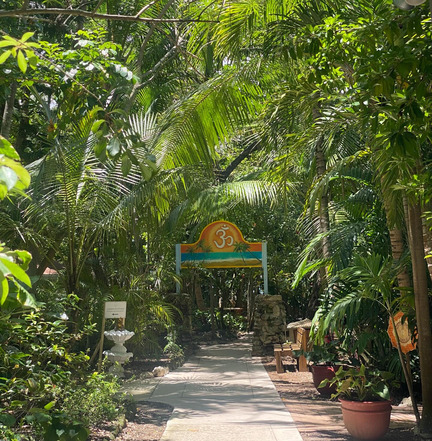 Today at 2 pm I will be doing a workshop on the Garden Platform at the @sivanandabahamas: 7 Nutrition Strategies to Boost Your Energy ✨✨✨
Tomorrow we start the course and the journey: the GLO 7 Day Fresh Food Reset.
Always a blessing to teach, guide, and support here in this special beautiful spiritual environment. 🙏
#ashramlife
#ashramlifeexperience
#foodasmedicine
#epigenetics
#wellnesstravel