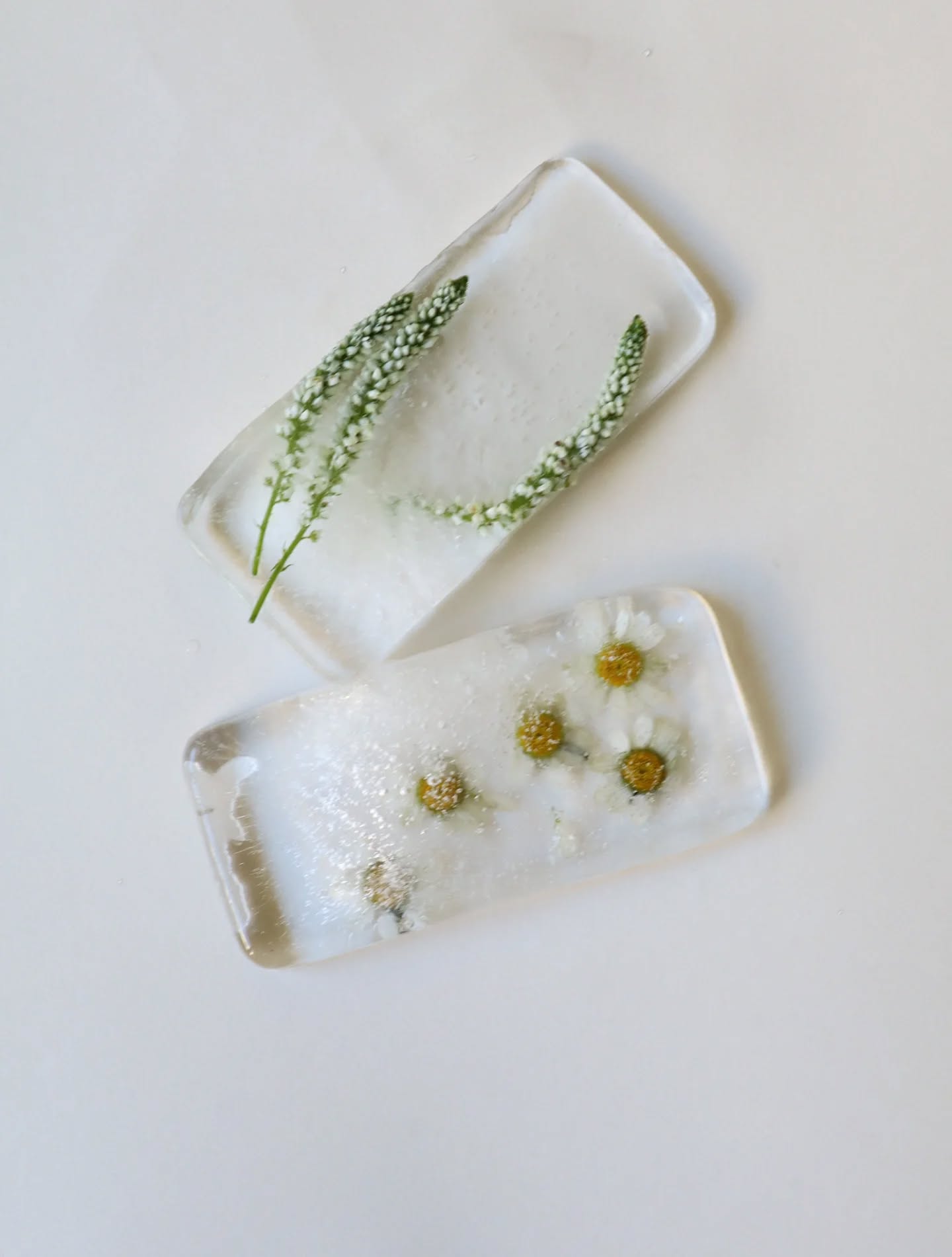 La collection été givré est arrivée et ça tombe bien le soleil est revenu et les degrés aussi 🥰
.
.
.
#poussiereredesrues #serigraphie #summer #flowers