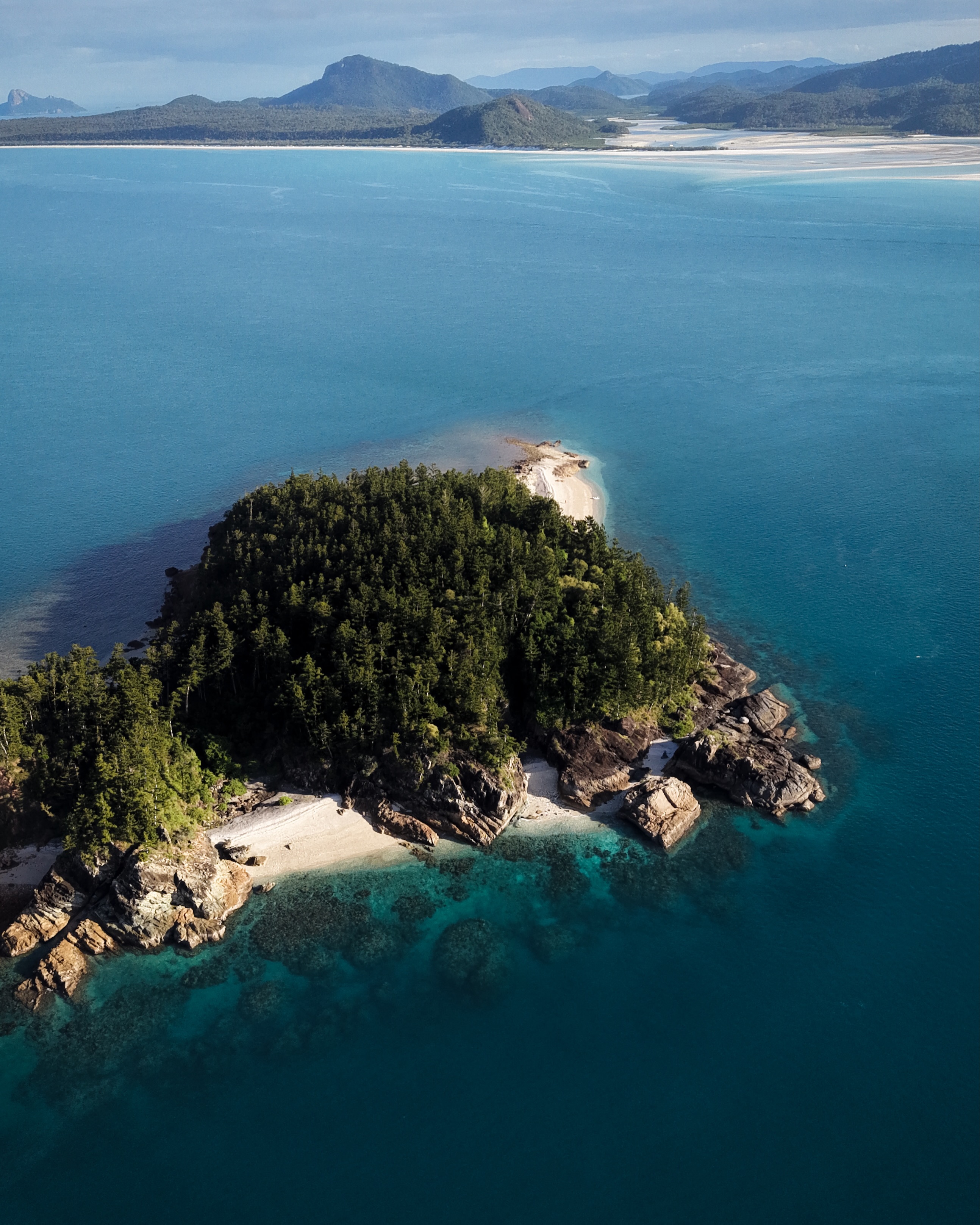 🩵 Happy Friday friends 🐚 may your weekend be spent near the ocean 🌊
.
.
.
.
.
#lovewhitsundays #whitehaven #whitsundaysqld @whitsundaysqld