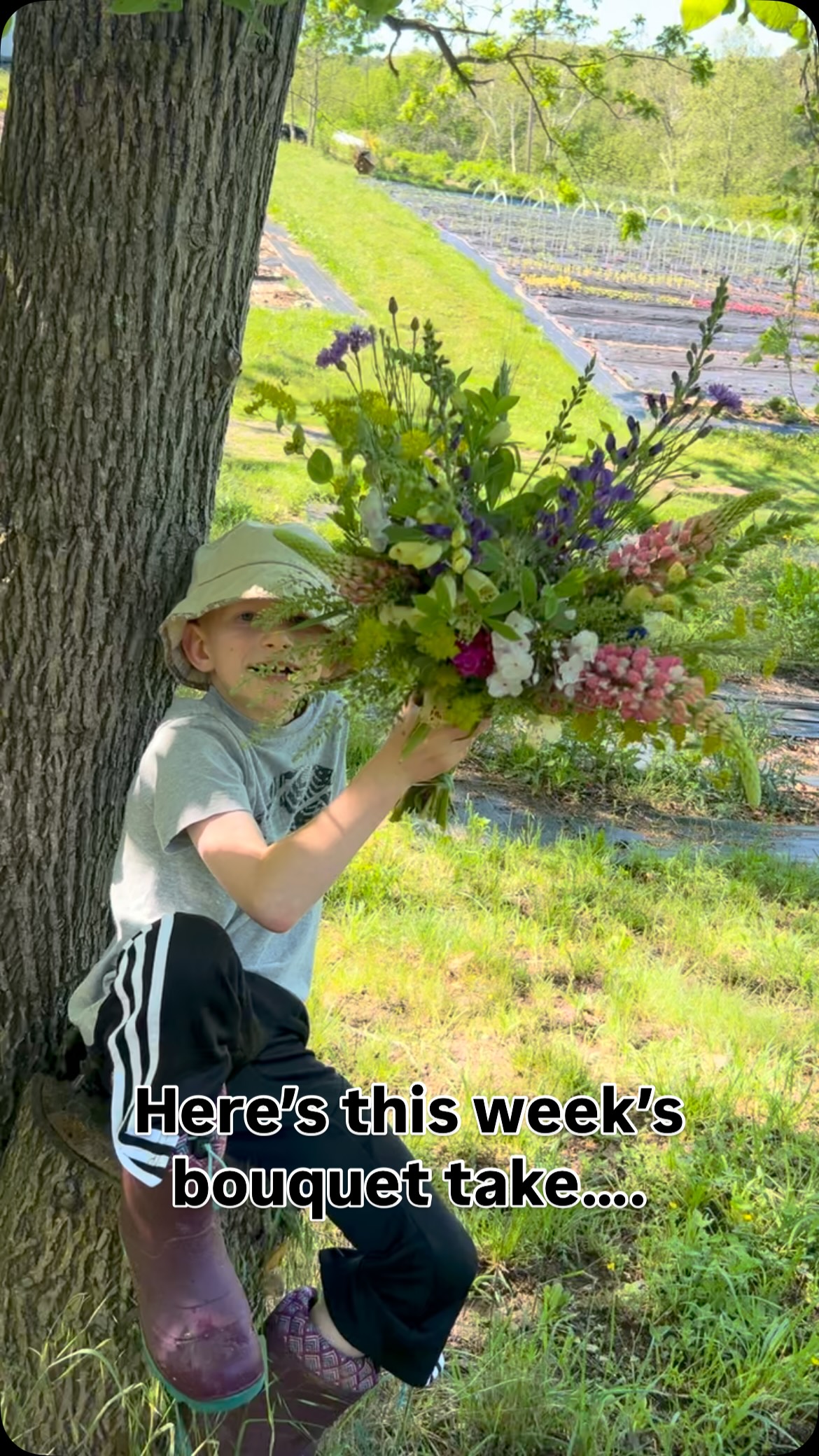 These are the bouquets we made this week with the company of my nephew. He very graciously acted as my model for the photo shoot. Get yours at the Charles Town Farmers Market from 9-12. ❤️#walkingwindfarmandflorist #locallygrownflowers #charlestownwv #jeffersoncountywv