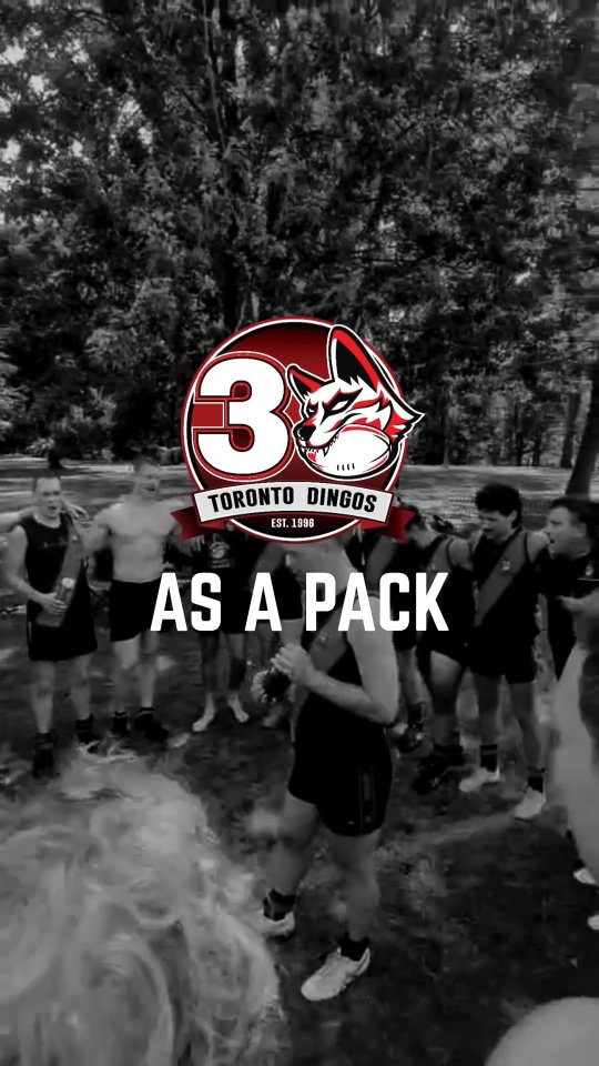 Brotherhood🔴Family⚫️Pack
The Dingos are ready to take on 2026 #AsAPack
#afl #AFLCanada #aussierules
📽: @bigmoonstudios, @bressettederek, @capturedbykcp, @curlyhairfiend