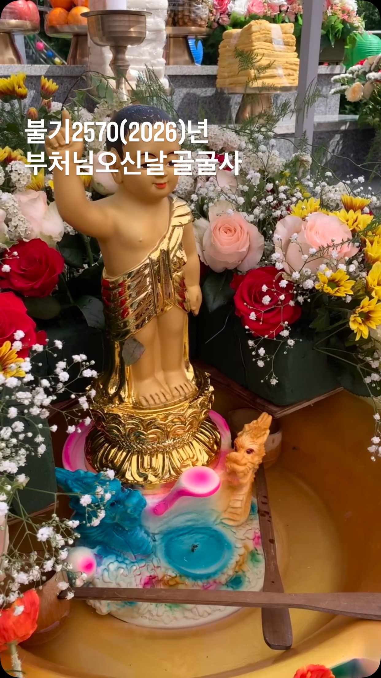 부처님오신날 🌈 #봉축 #골굴사 #선무도 #부처님오신날