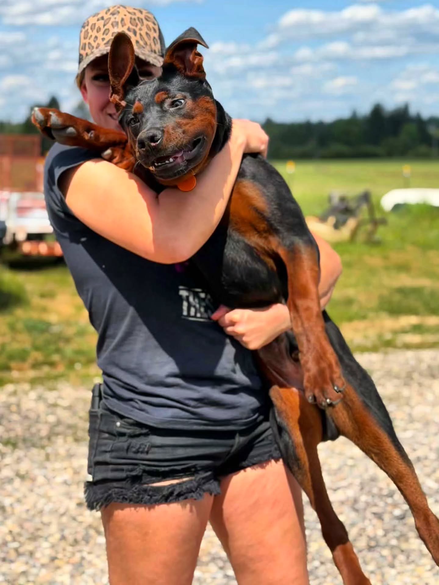 I knew letting you go was going to be hard but it didn't hit me till I went back to let the girls out potty.
I know your in good hands with @ohnorosa but dang I think this was the hardest goodbye yet, I see so much of Bronson in you, I can't wait to see you again sweet crazy Echo of Elysium 💚
#justiceforbronson
-
Laizhou hong chinese red dog
-
Nothing for sale, DM to inquire about the breed!
-
dutch shepherd sighthound #rarebreed #protectiondog #chinesereddog beauceron schutzhund protection dog psa german shepherd guard dog trainer preservation chinese red dog #dobie